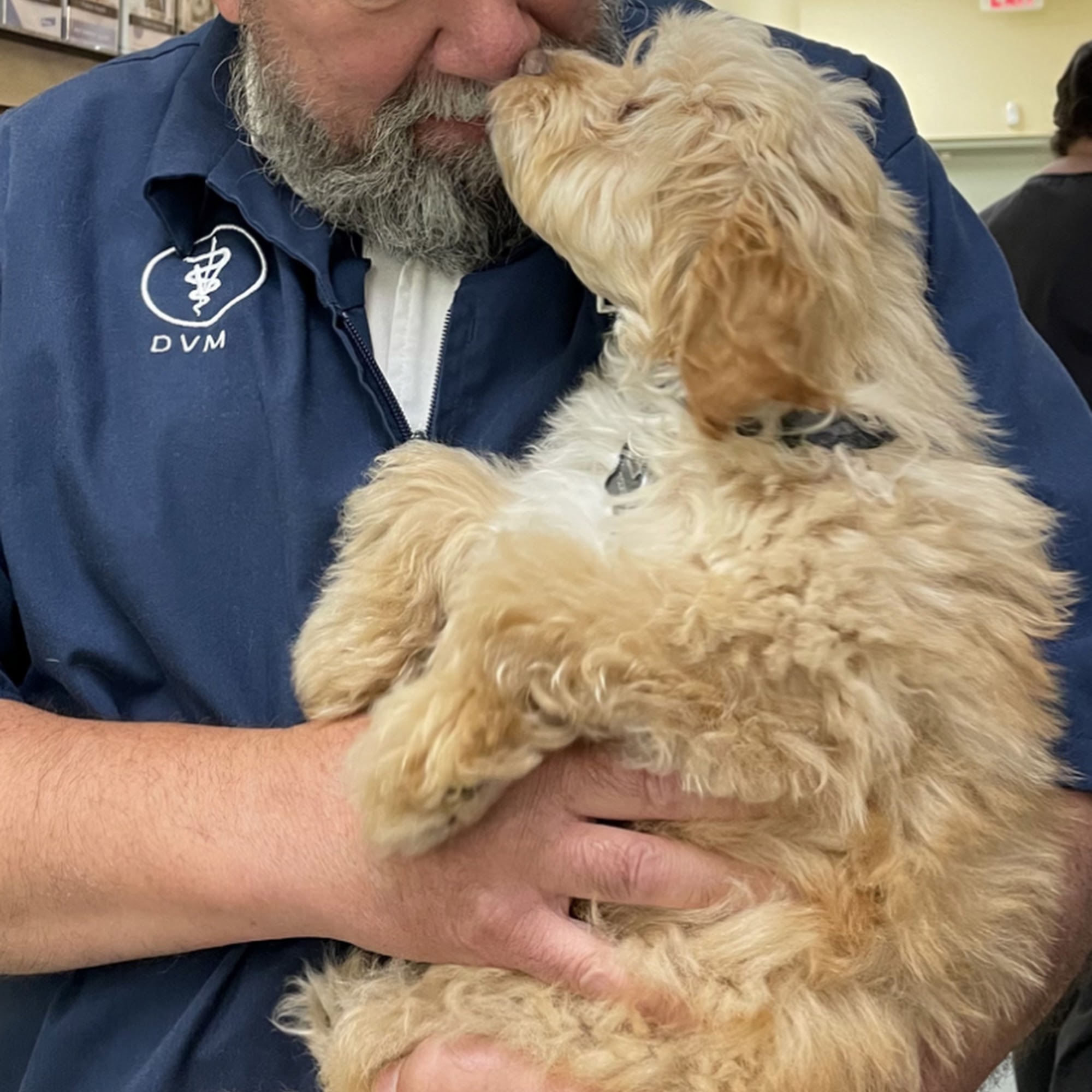 Lanoka Oaks Veterinary Center Lanoka Harbor