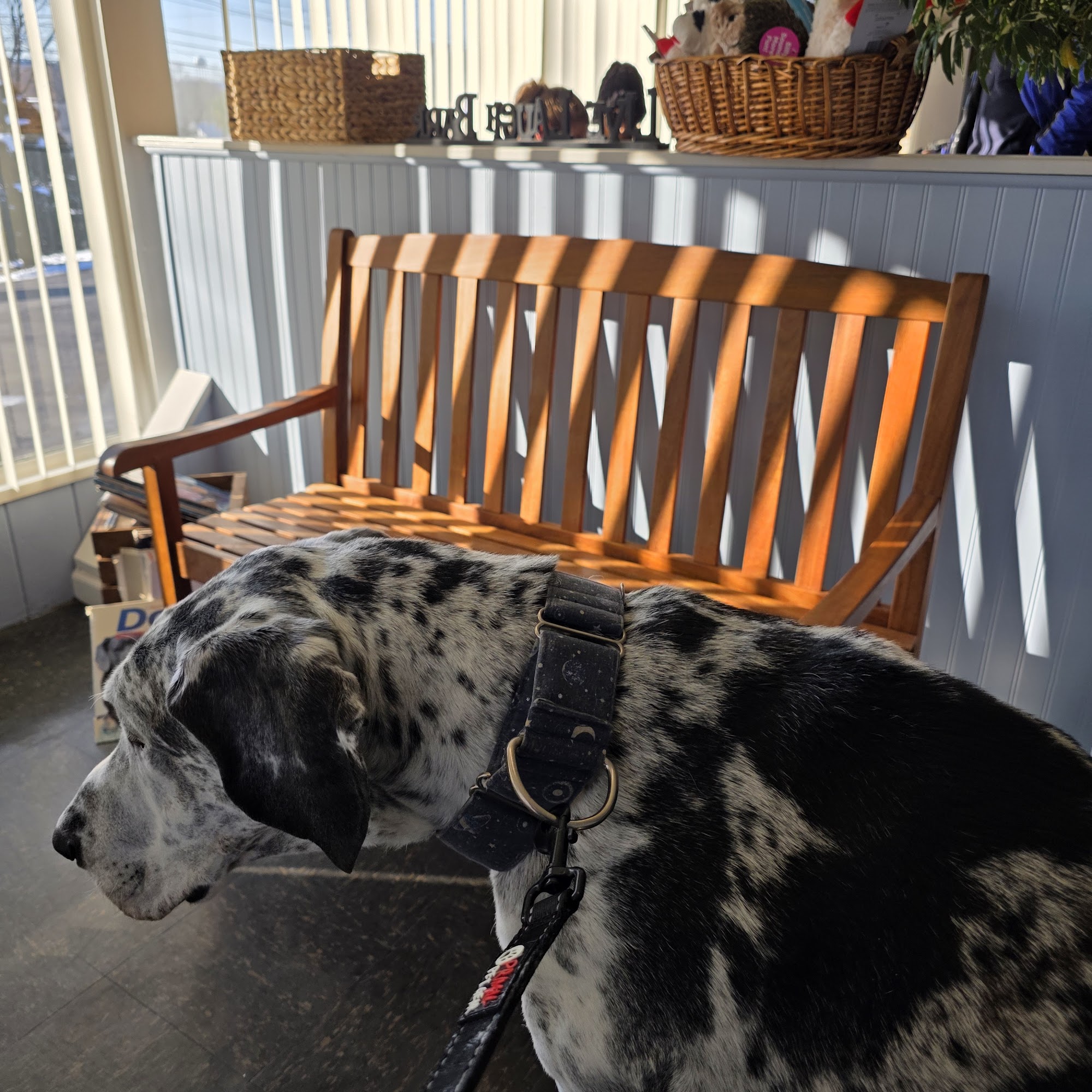 Round Valley Animal Hospital-Dr. Lorraine Marks Lebanon