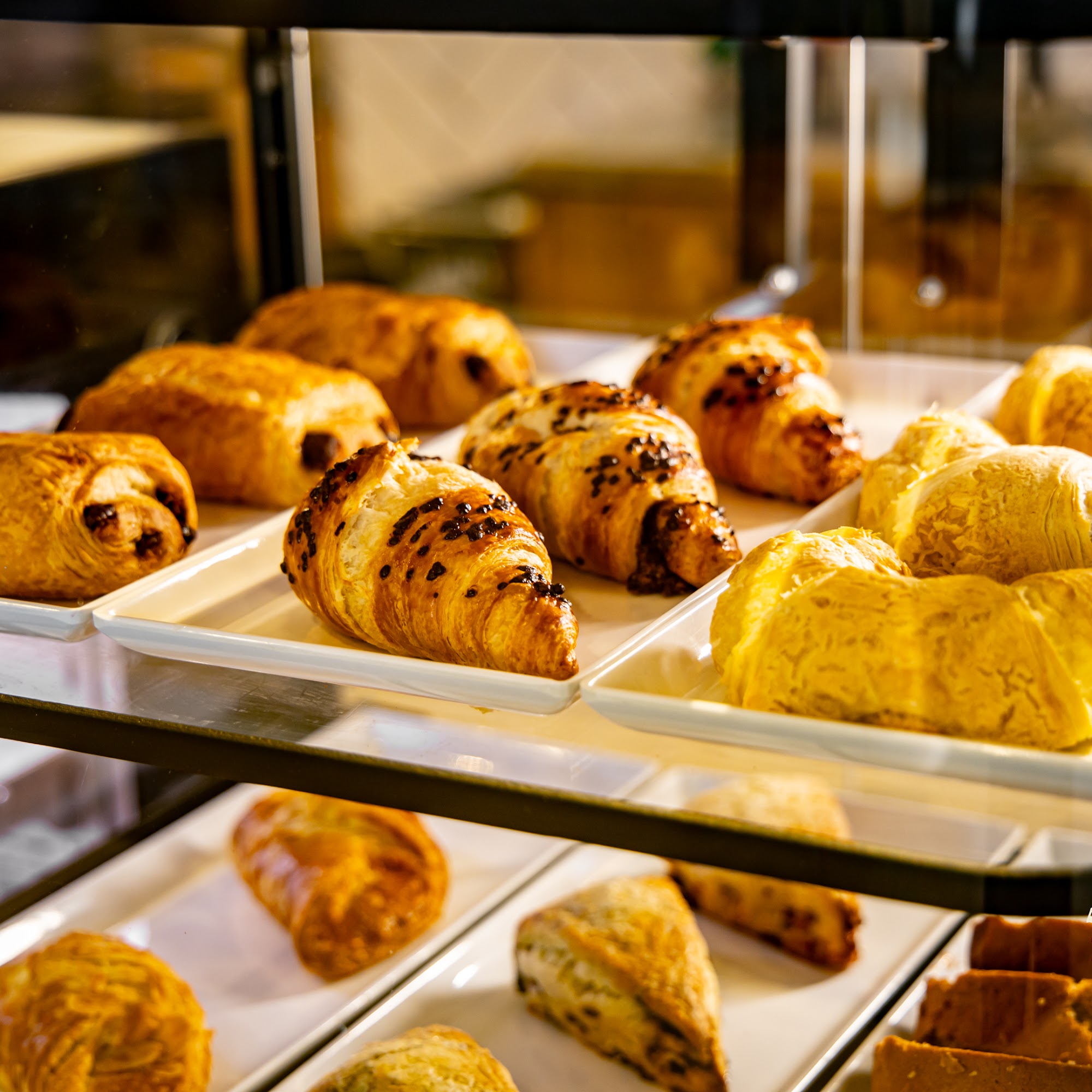 Ethan & the Bean Little Falls