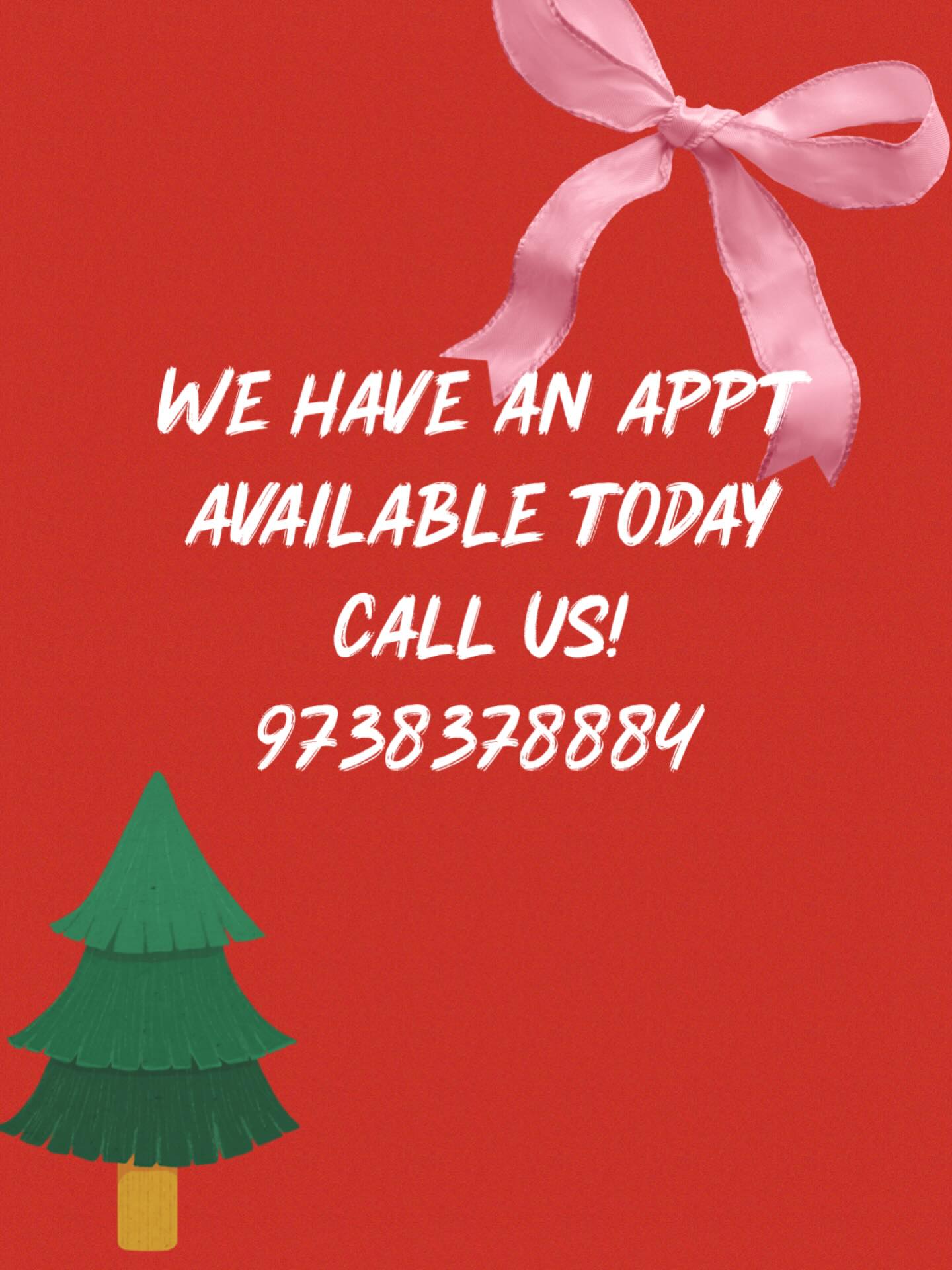 Cloud Canine Salon Little Falls