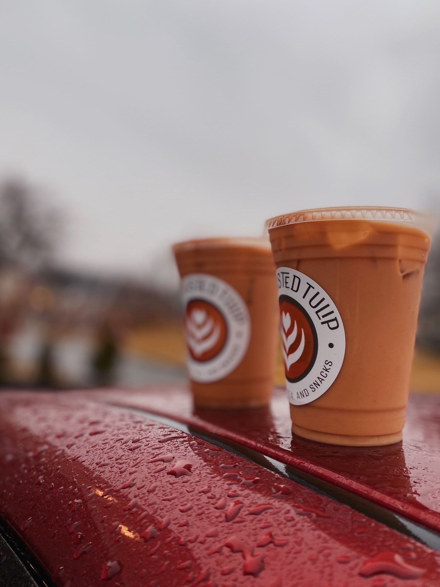 The Twisted Tulip Livingston