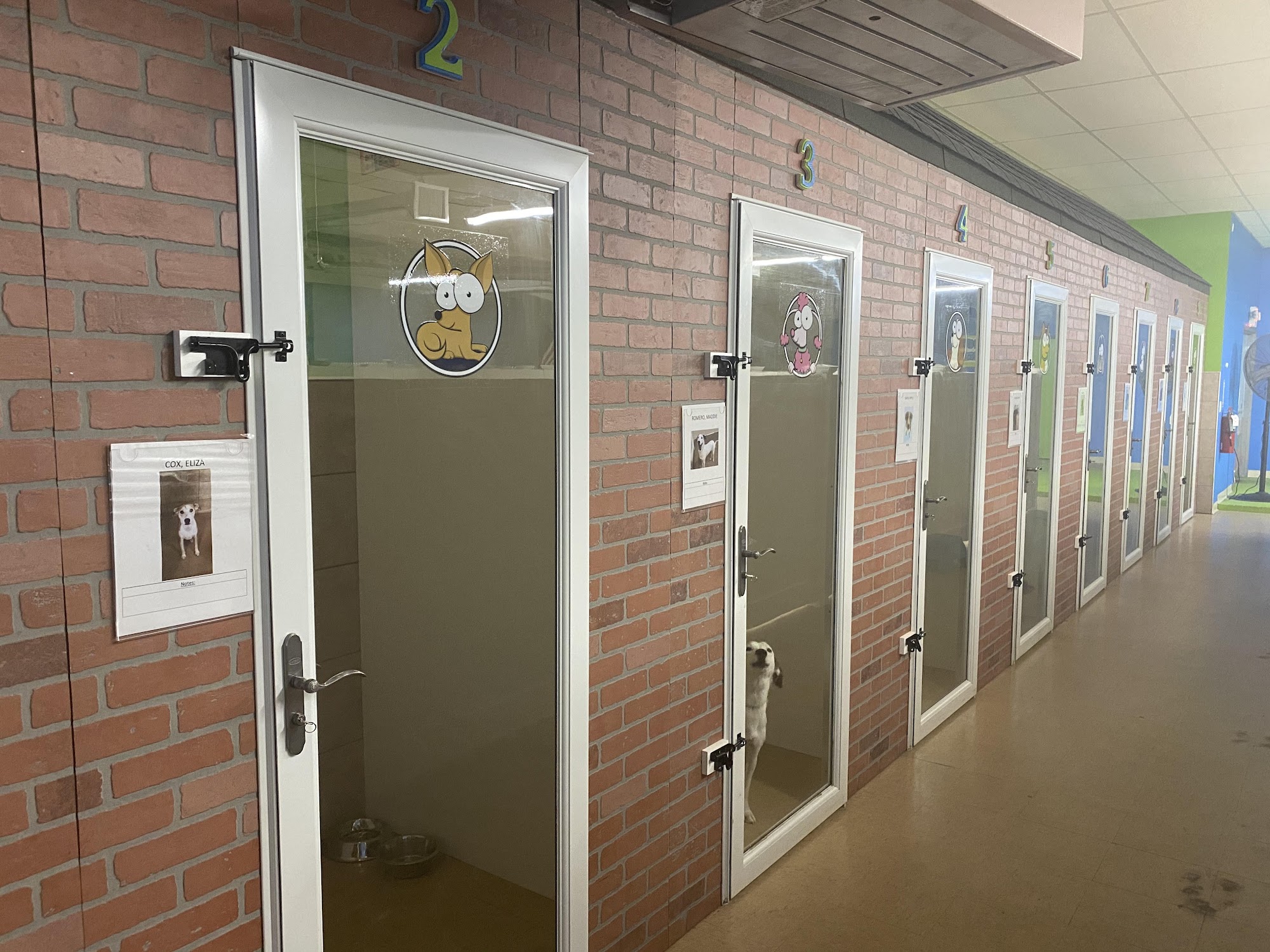 Hounds Town Bergen Lodi