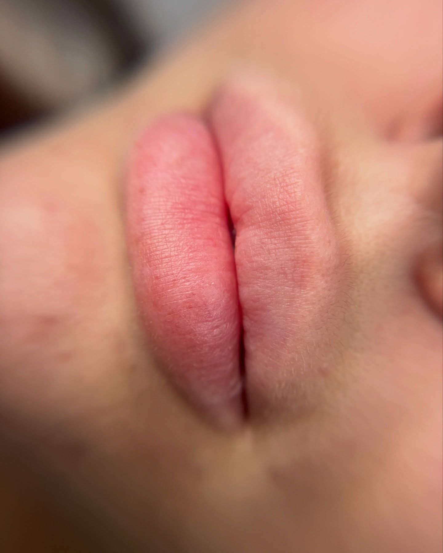 lashed by misha 288 Ridge Rd, Lyndhurst New Jersey 07071