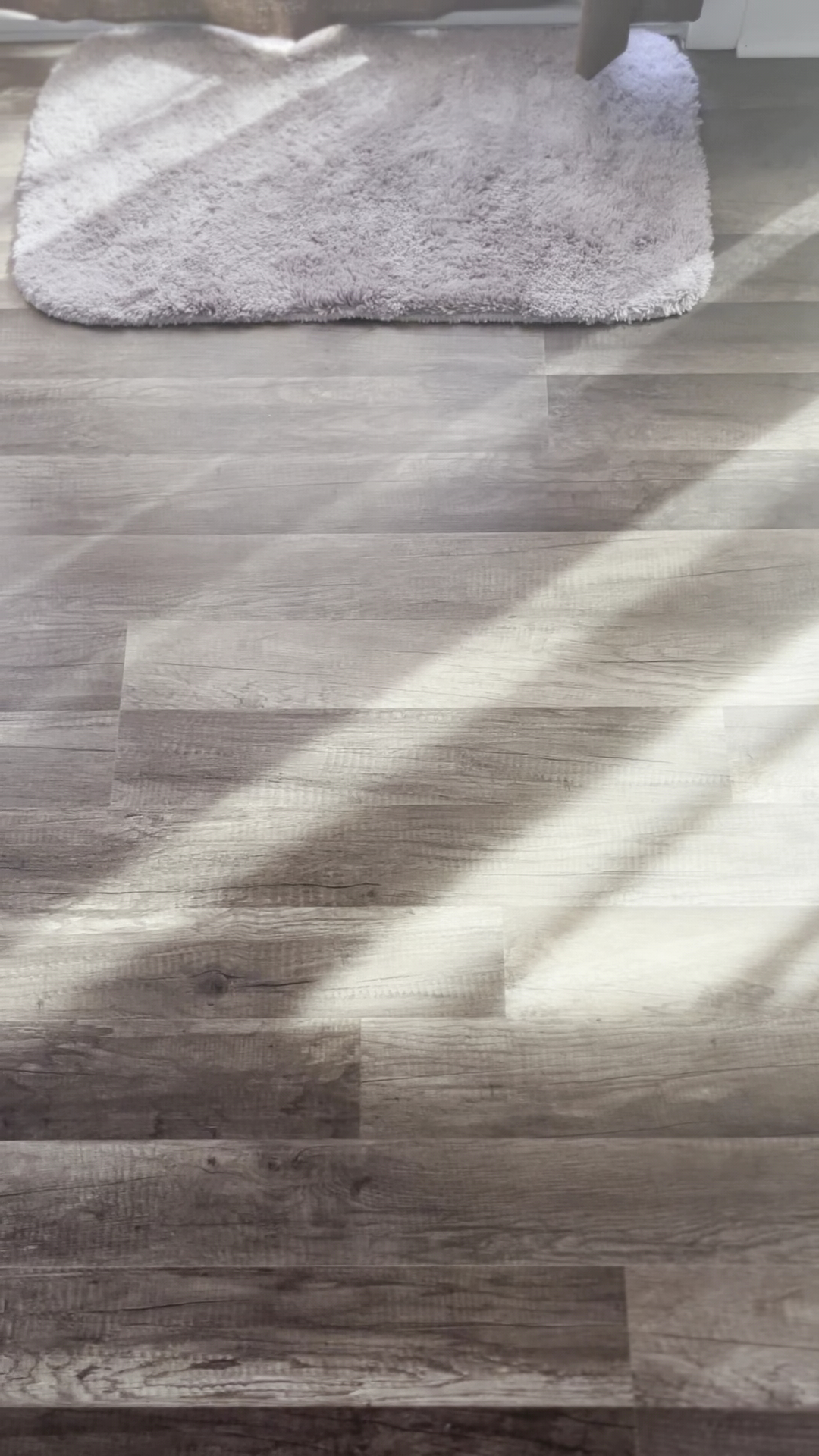 Blacky's Clam Stand Menu