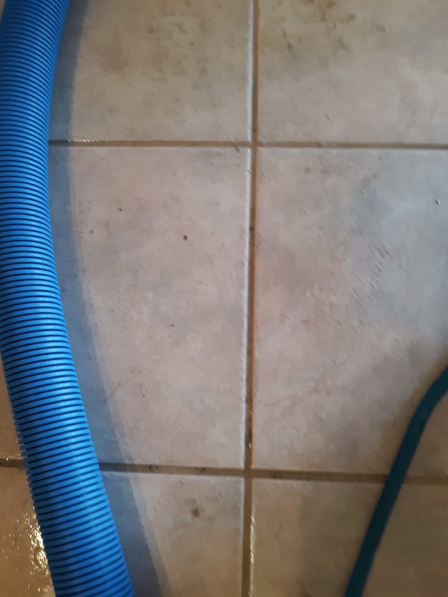 Superb Carpet & Furniture Cleaning