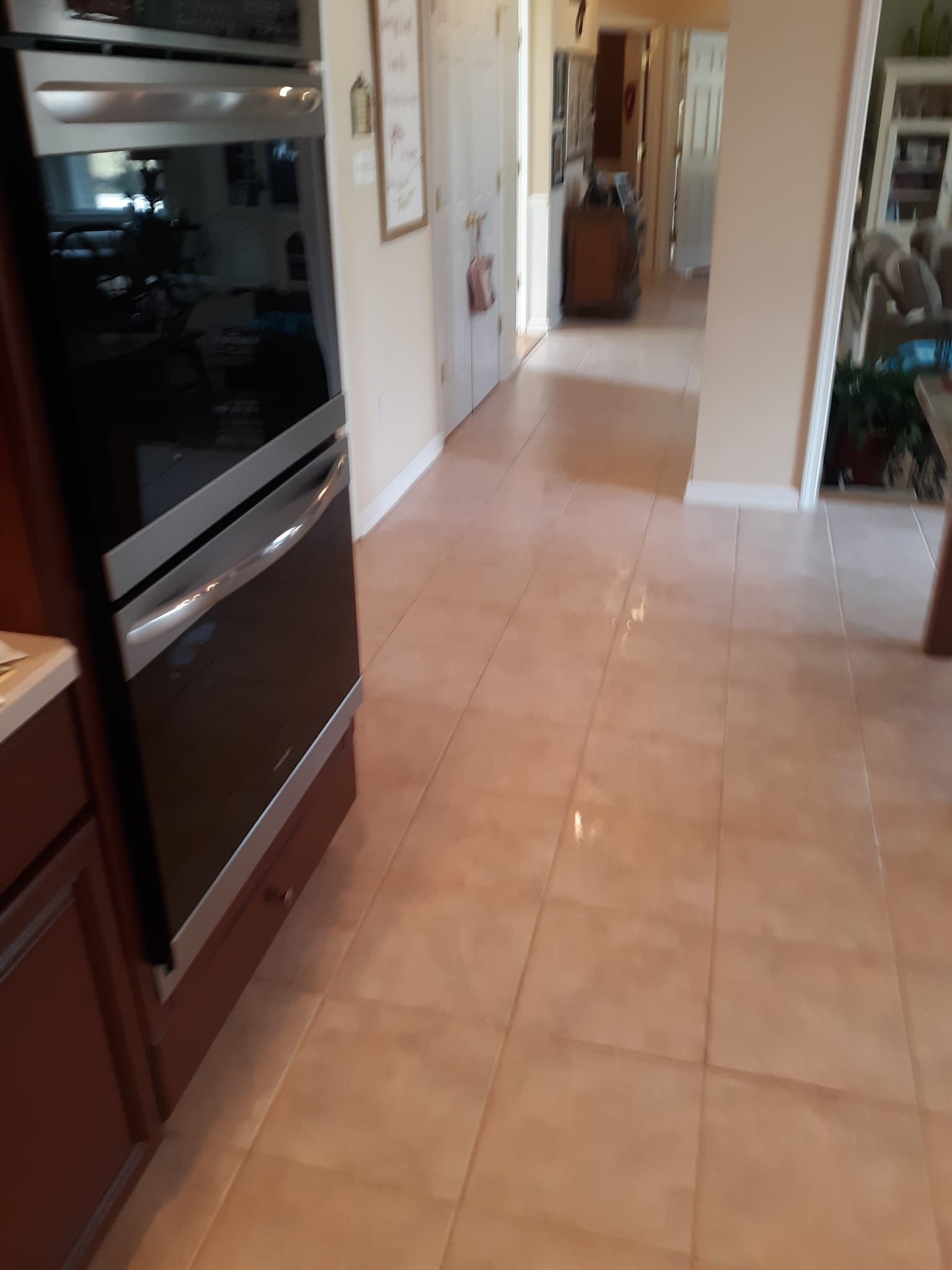 Superb Carpet & Furniture Cleaning