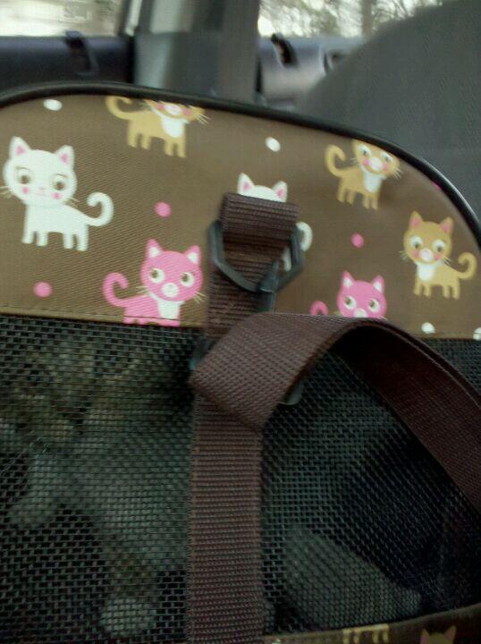 Town & Country Veterinary Services Manalapan