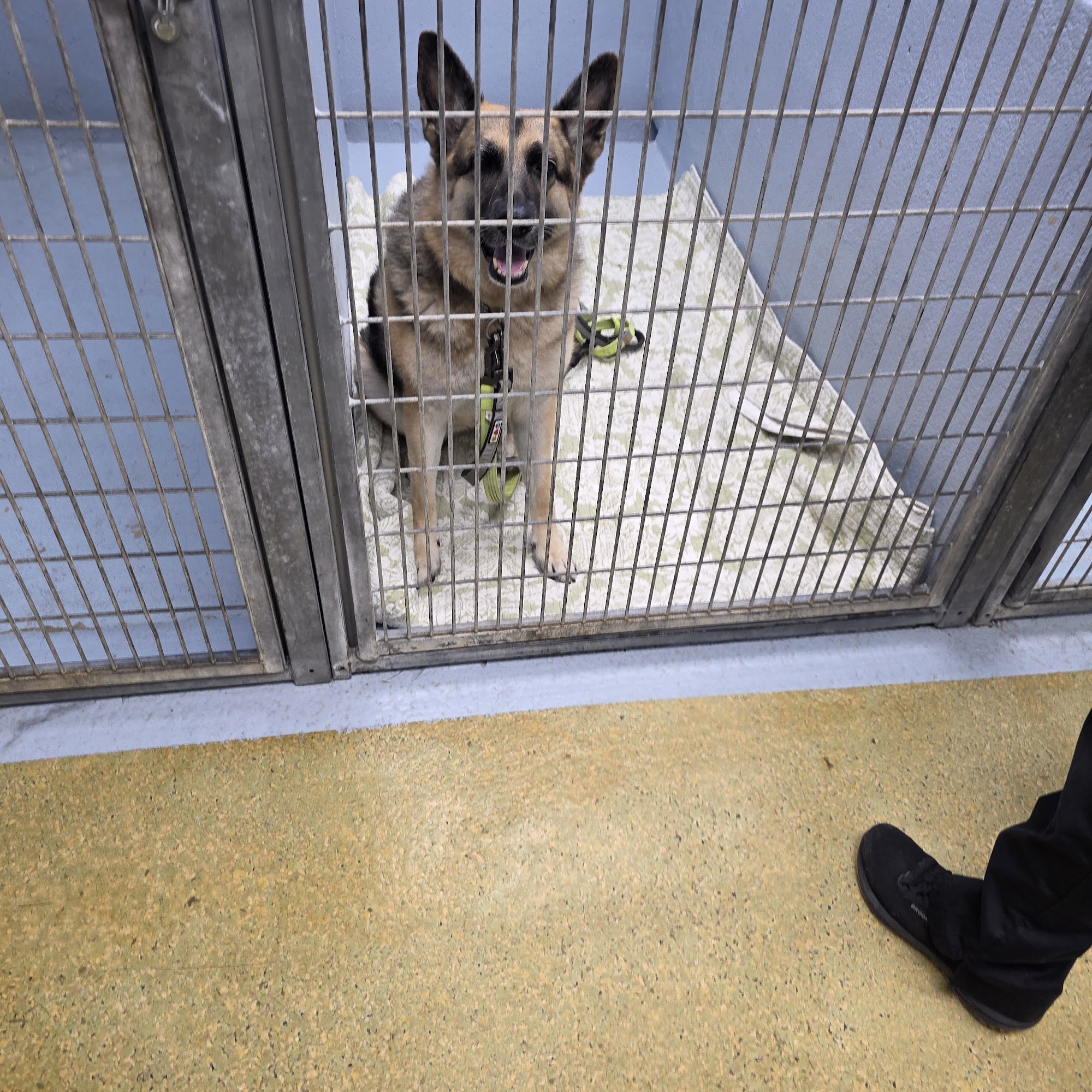 Town & Country Veterinary Services Manalapan