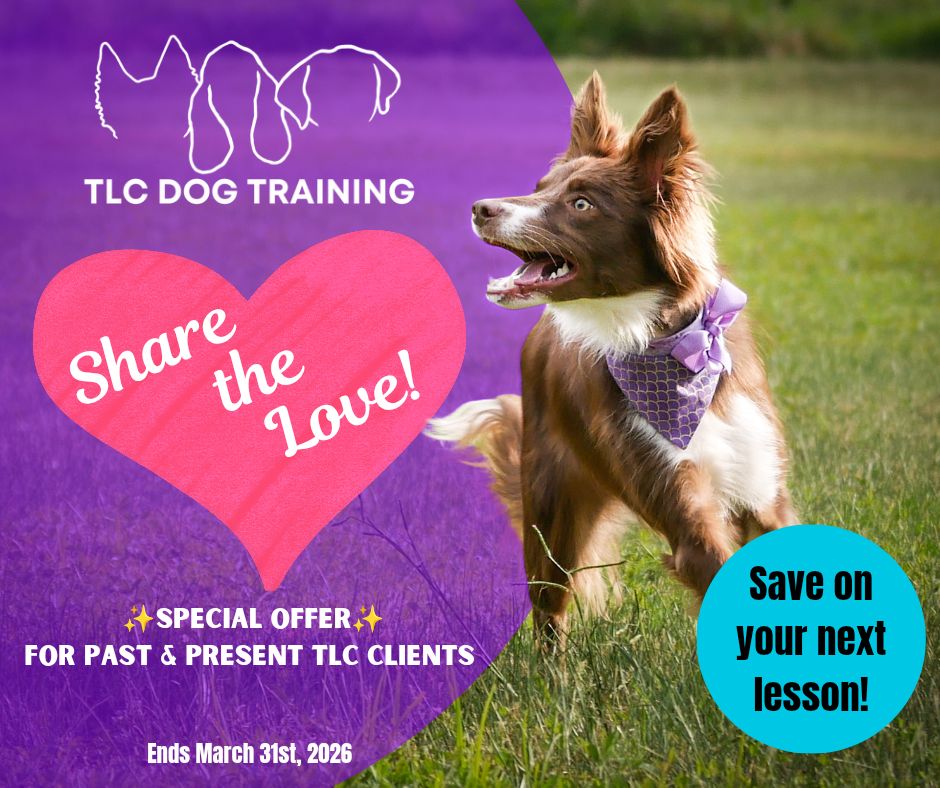 TLC Dog Training, LLC Matawan