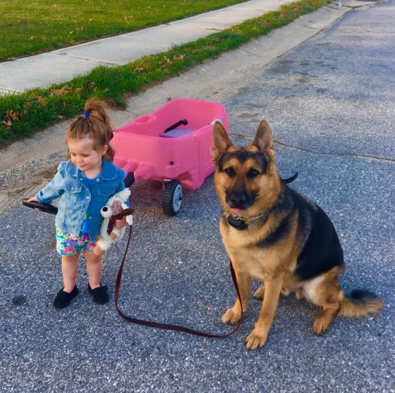 Absegami Pet Grooming