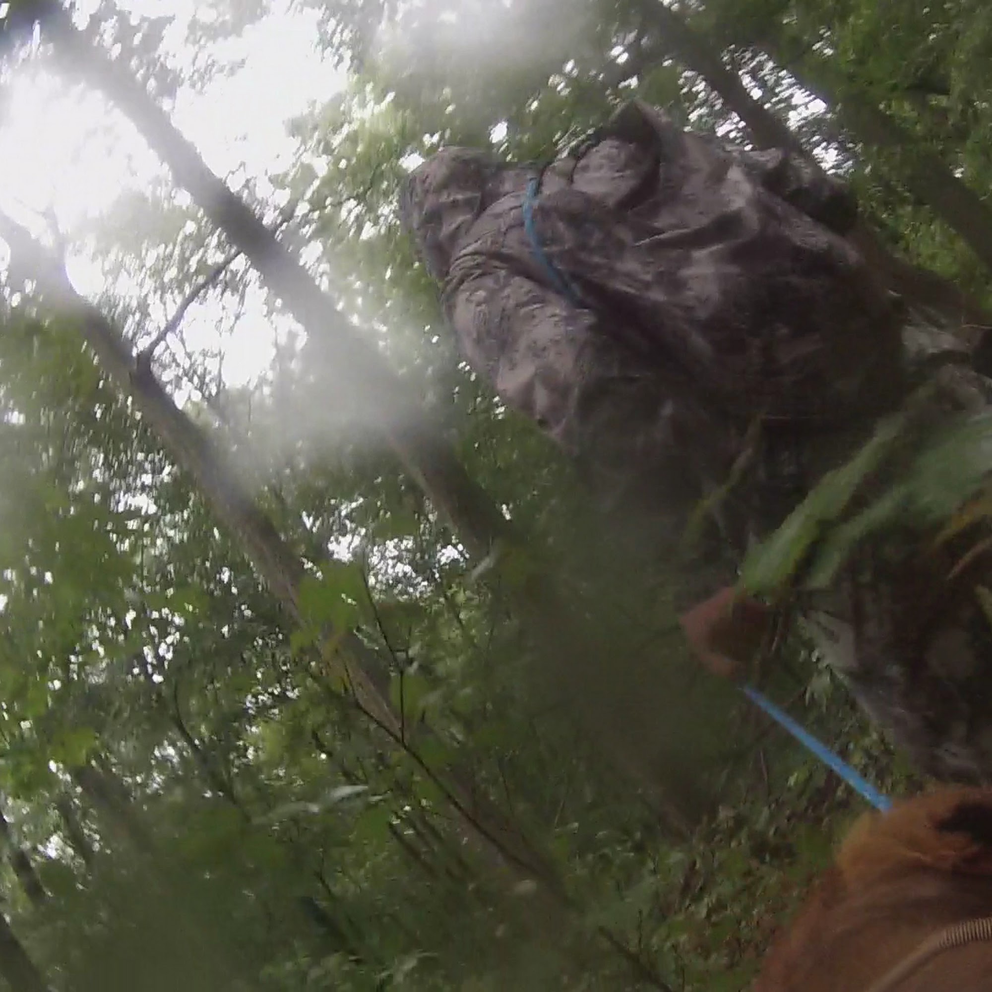 Maywood Veterinary Clinic Maywood