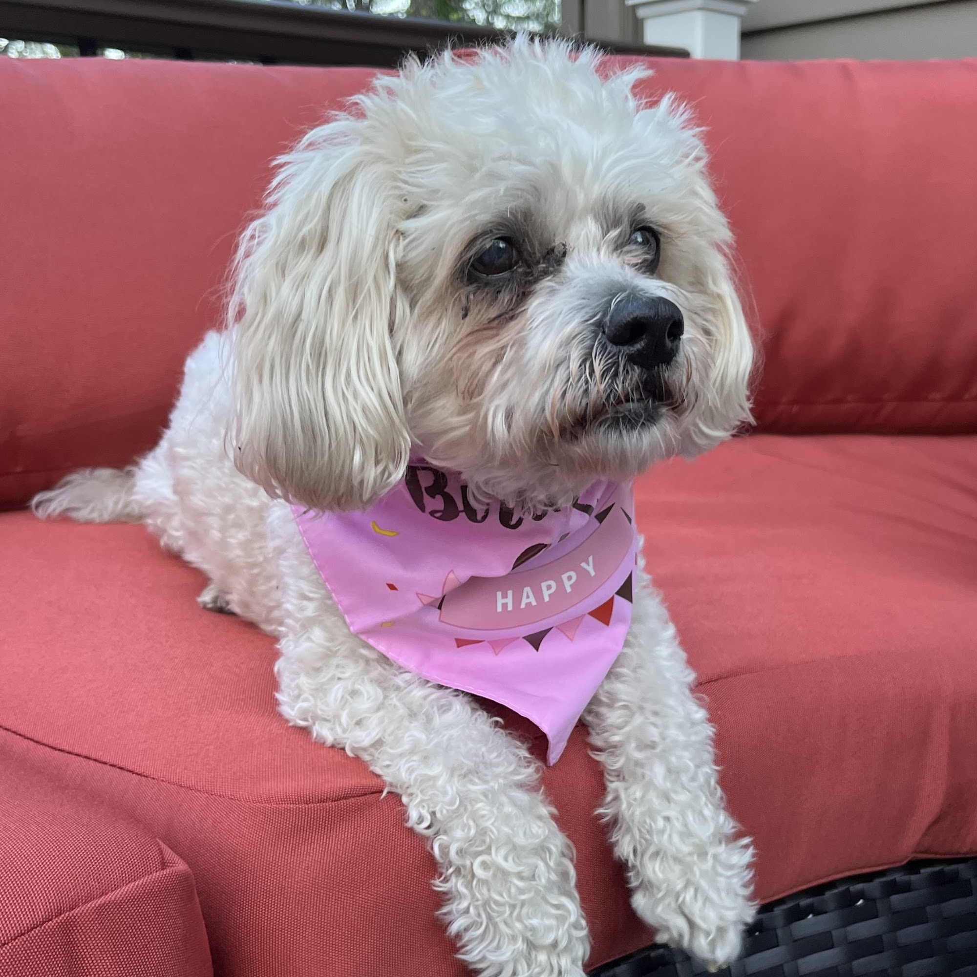 Hartford Animal Hospital Medford