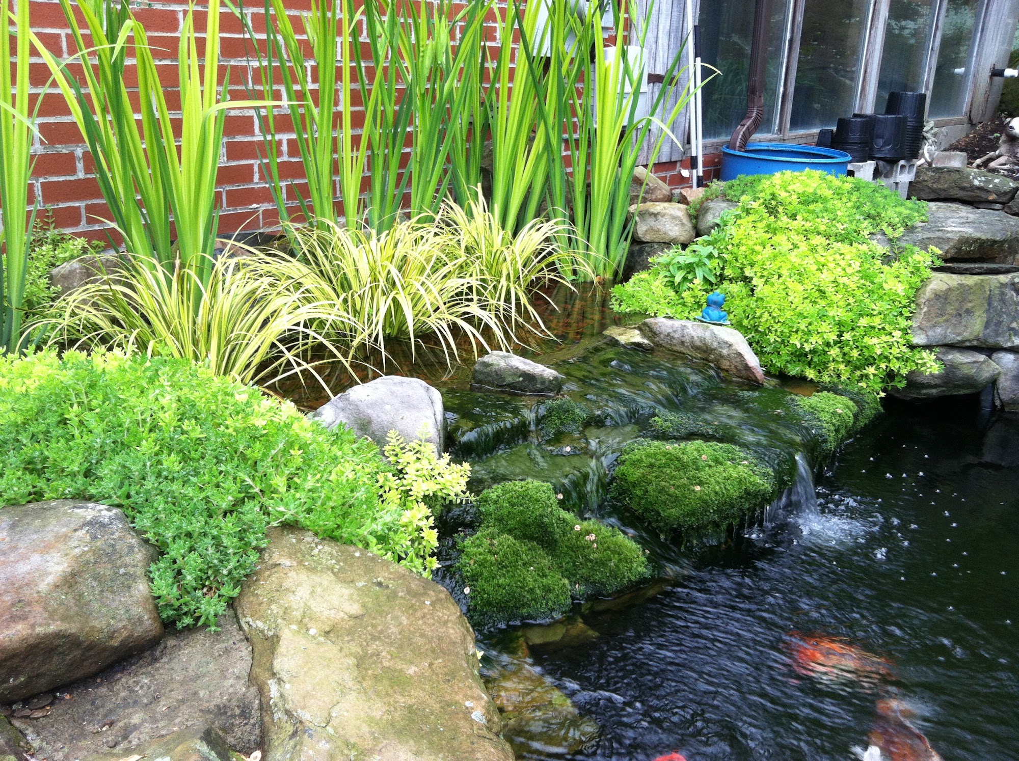 Laurel Oak Landscaping