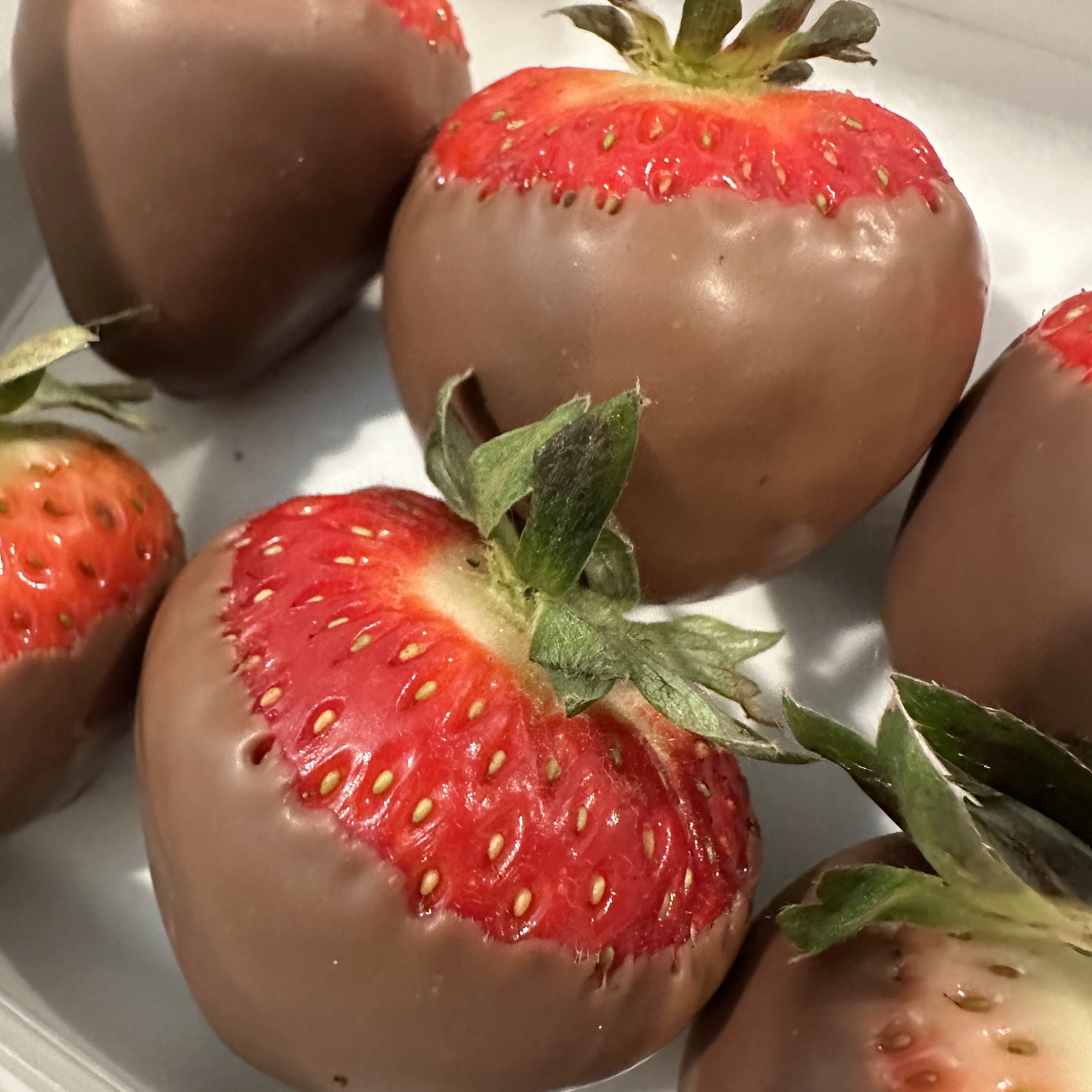 J.A. MOREY ARTISAN CHOCOLATE