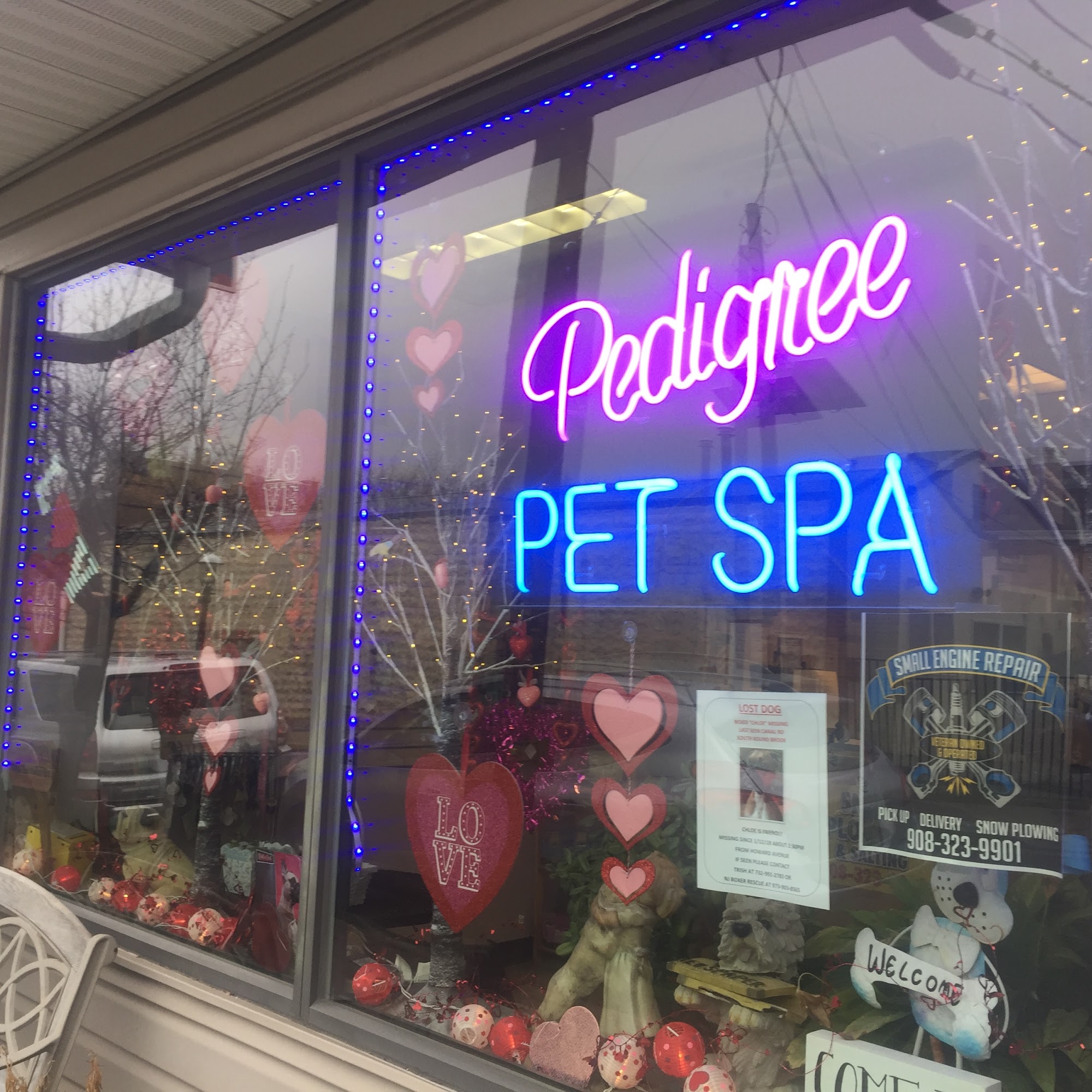 Pedigree Pet Spa Metuchen
