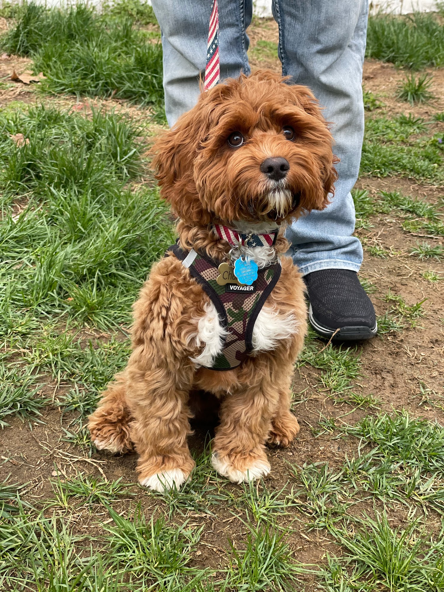 Camp K Nine Middletown