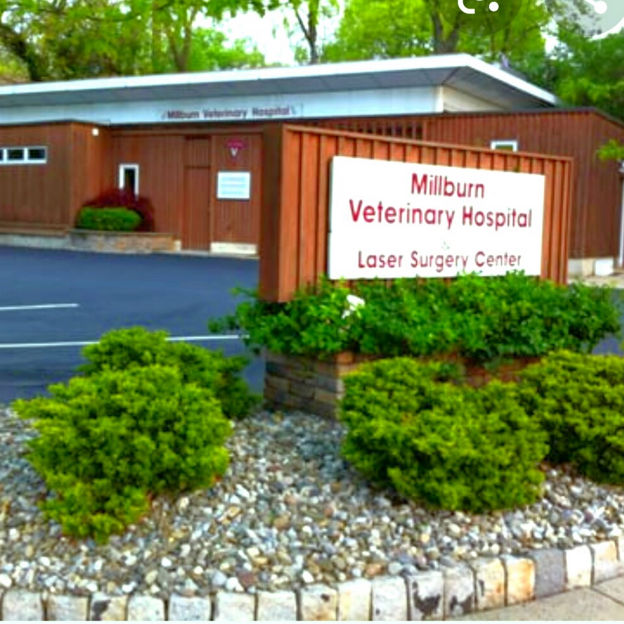Millburn Veterinary Hospital Millburn