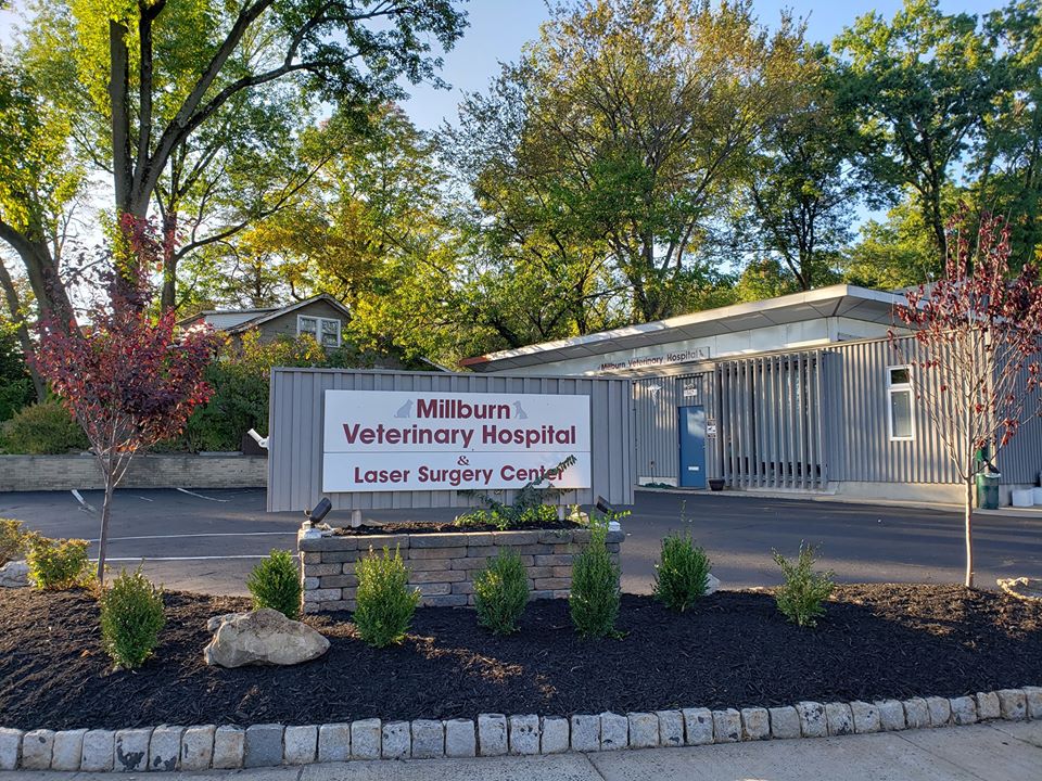 Millburn Veterinary Hospital Millburn