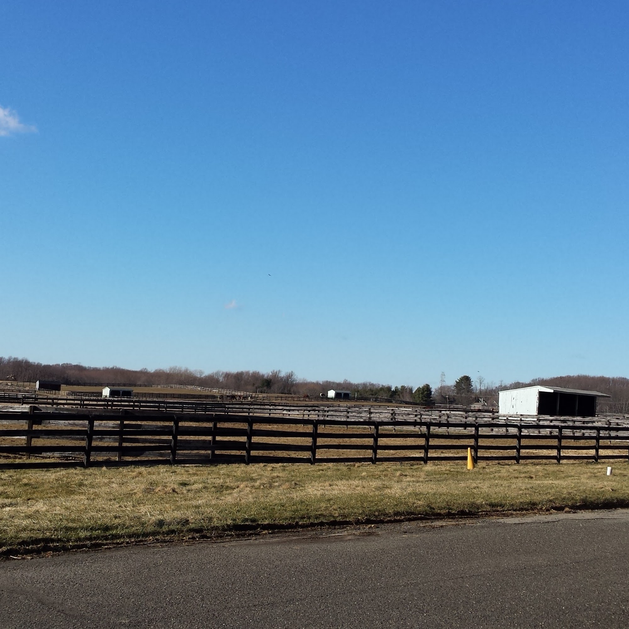 New Jersey Equine Clinic Millstone