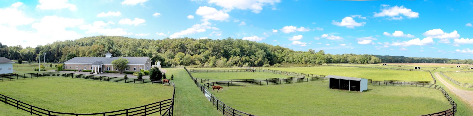 New Jersey Equine Clinic Millstone