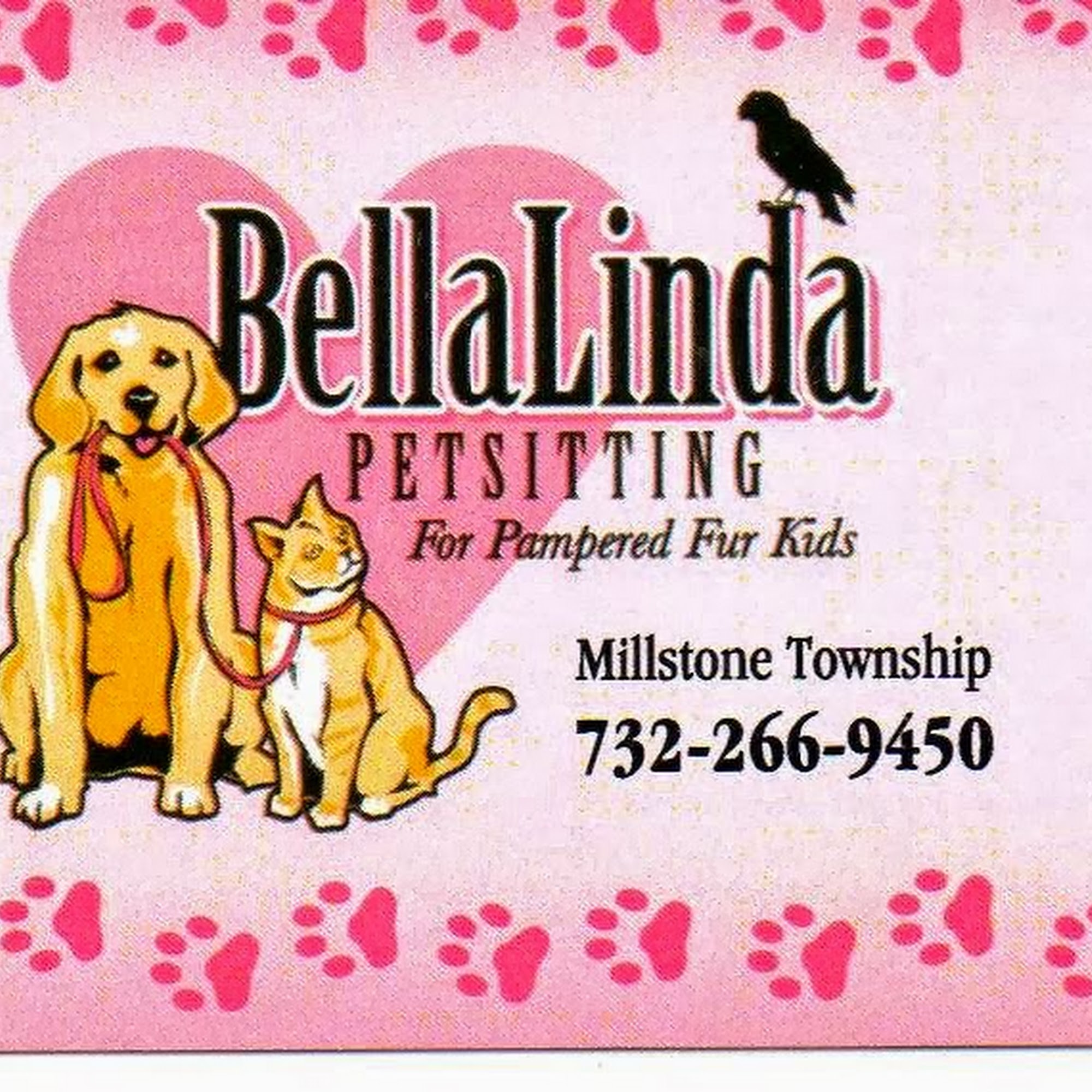 BellaLinda Pet sitting Millstone