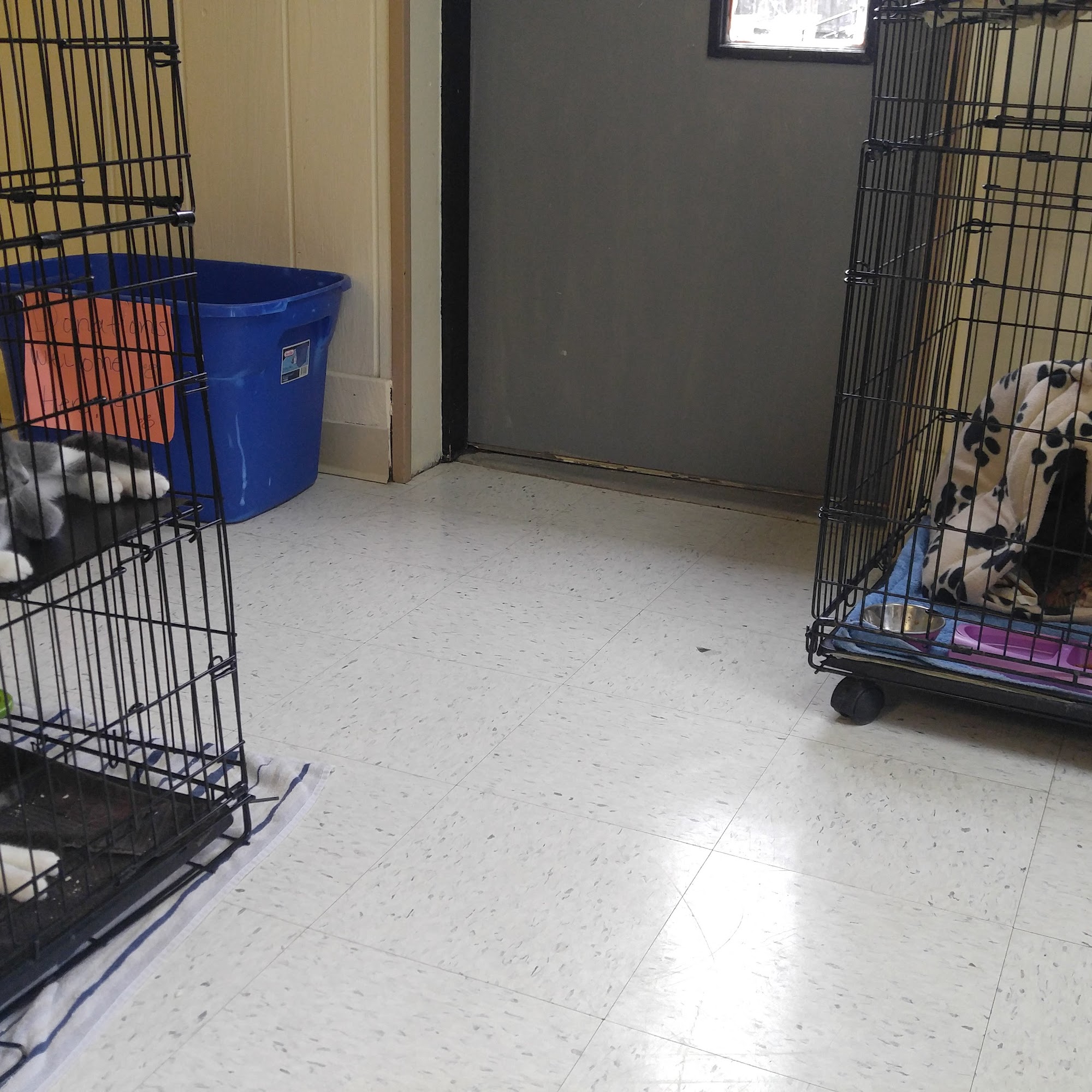 Country Lakes Animal Clinic Mine Hill