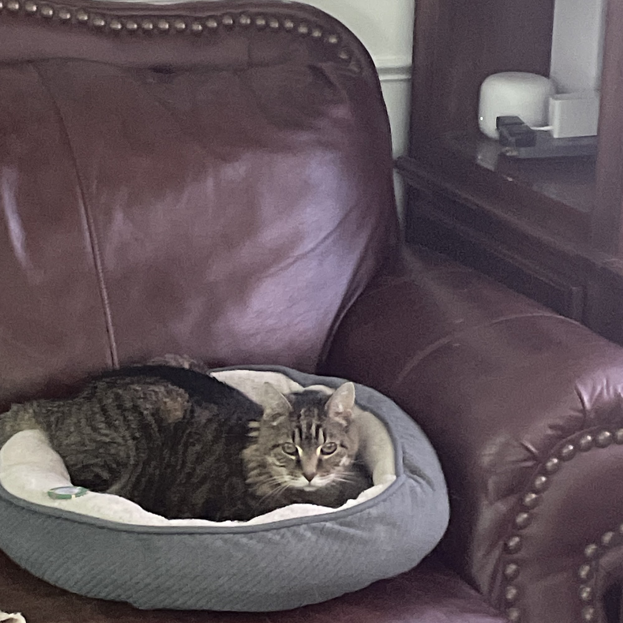 South Brunswick Animal Hospital Monmouth Junction