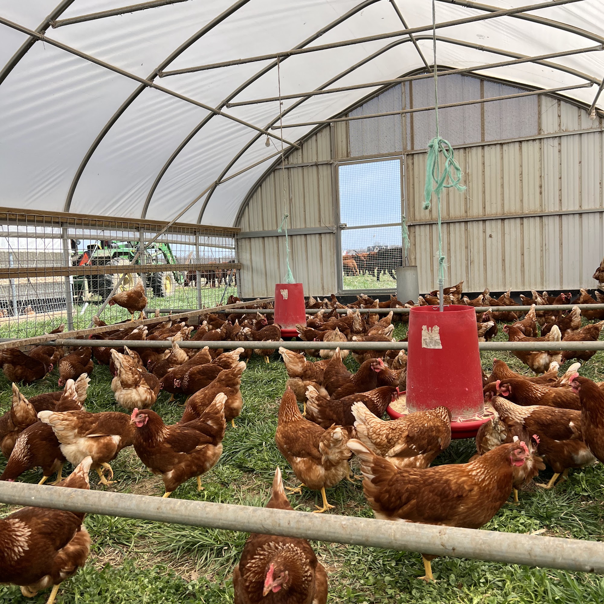 Sickler's Circle View Farm Monroeville