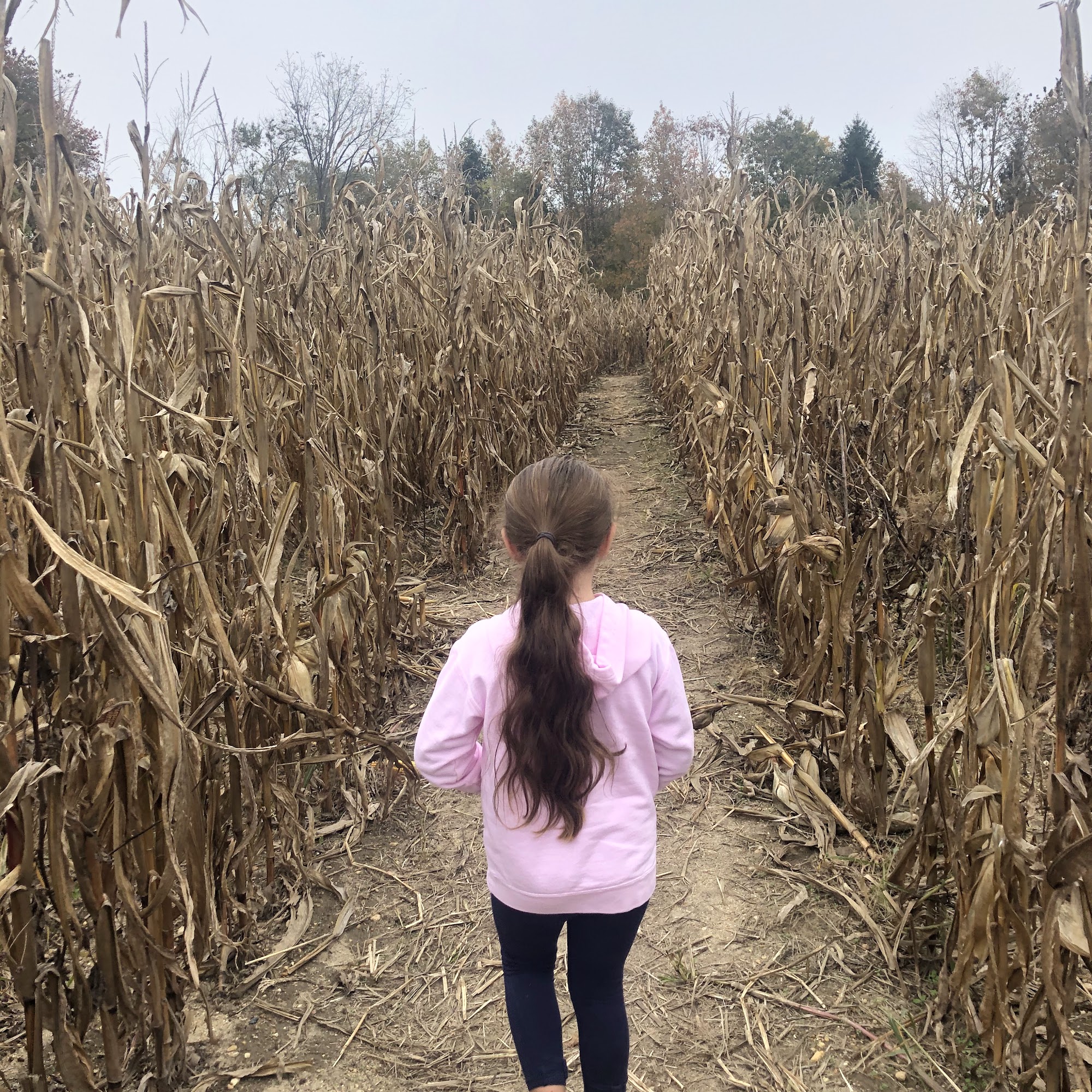McCann's Farm Monroeville