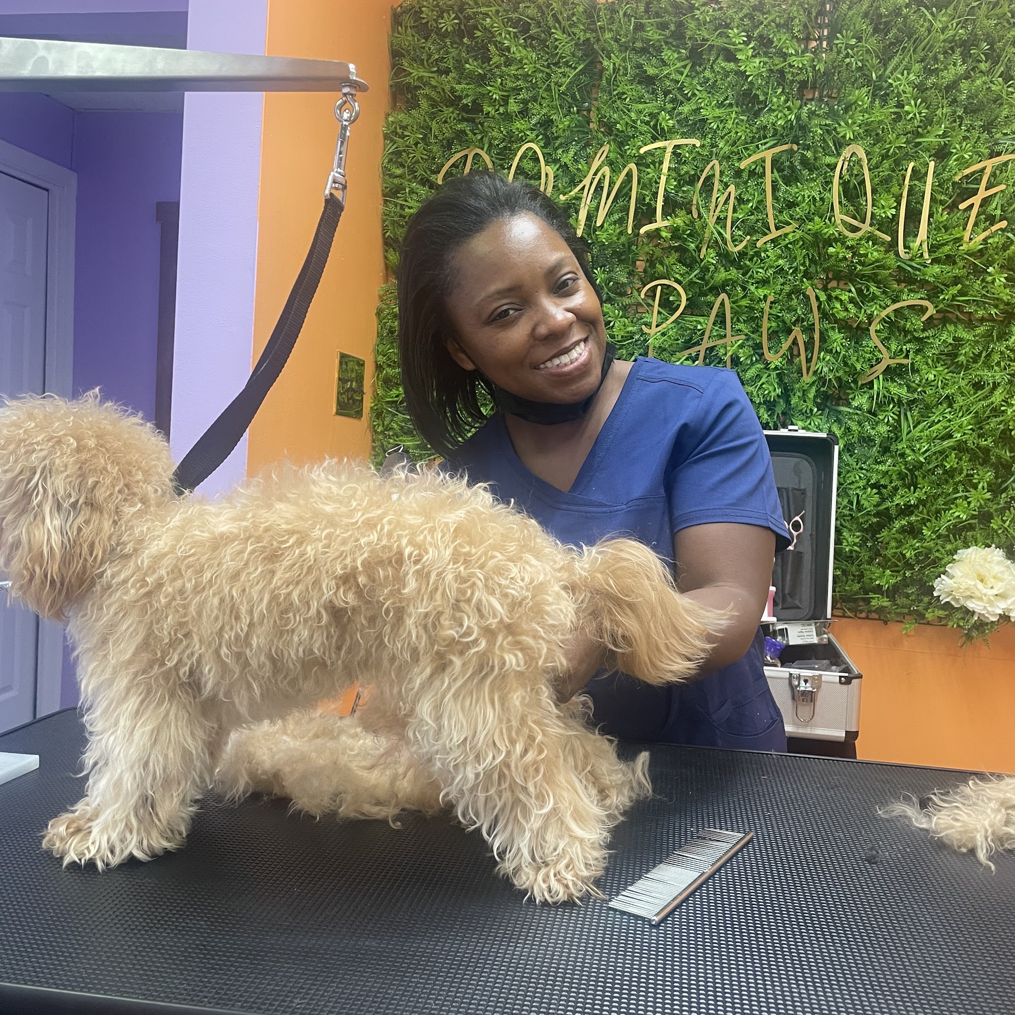 Dominique Paws Moorestown