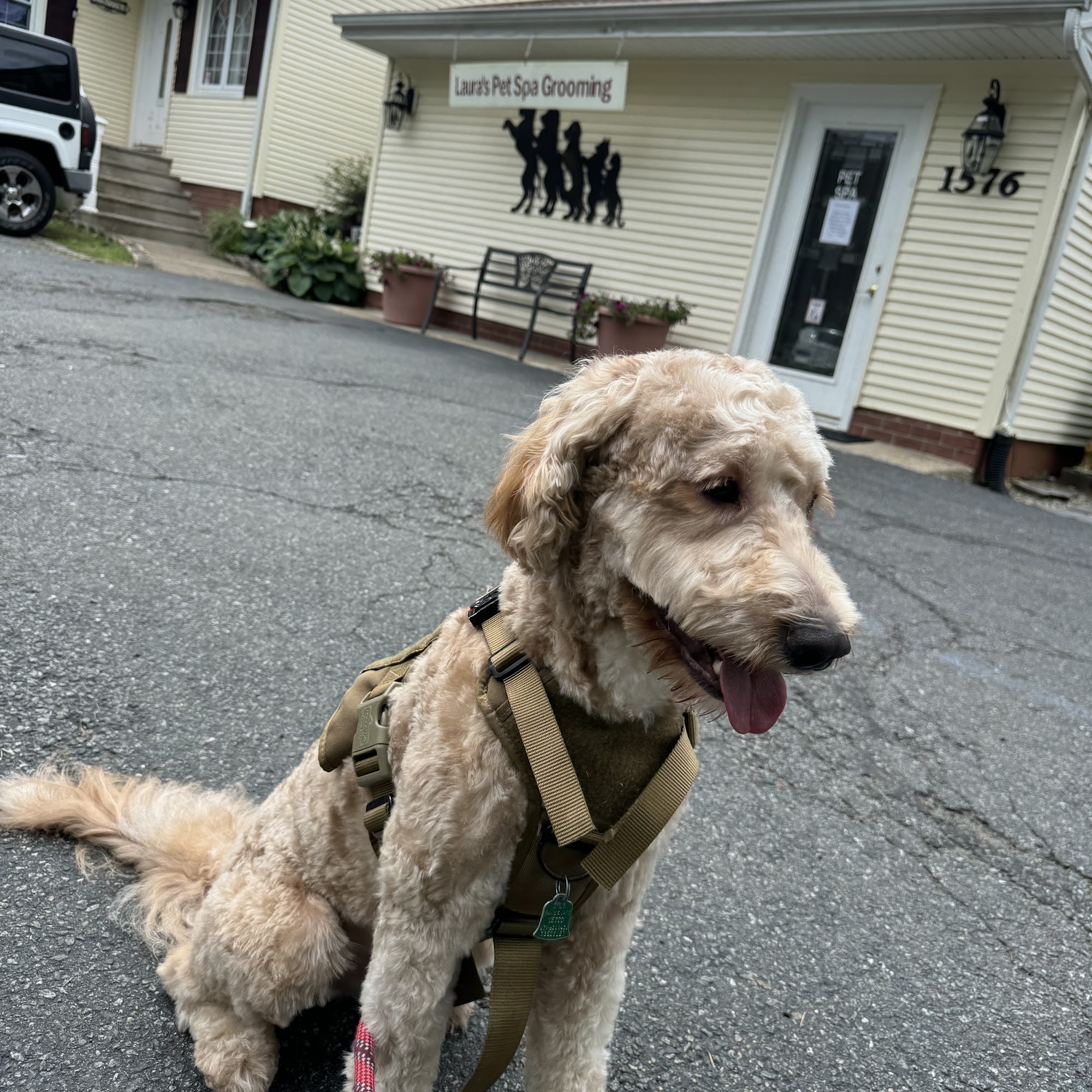 Laura's Pet Spa Morris Plains