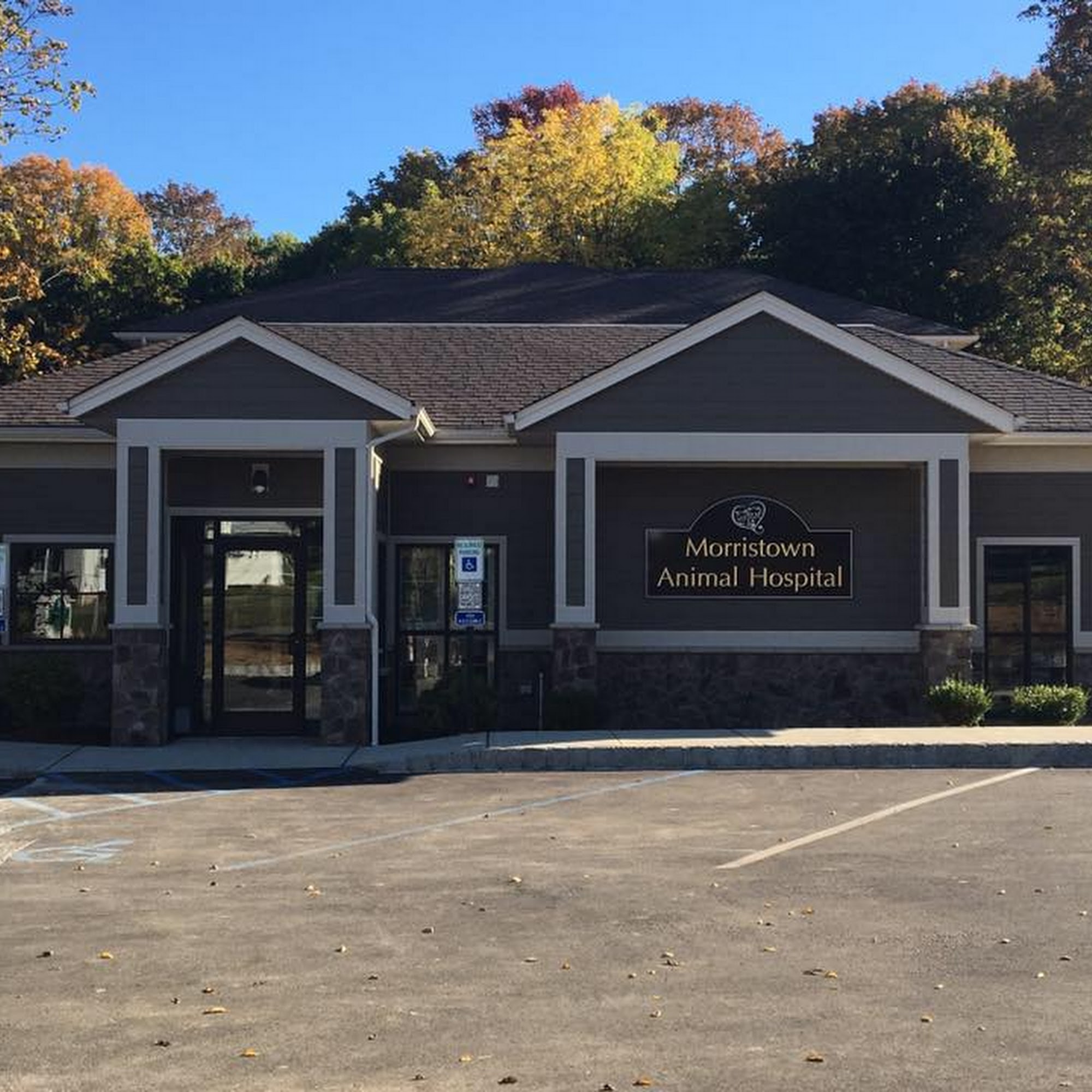 Morristown Animal Hospital Morristown