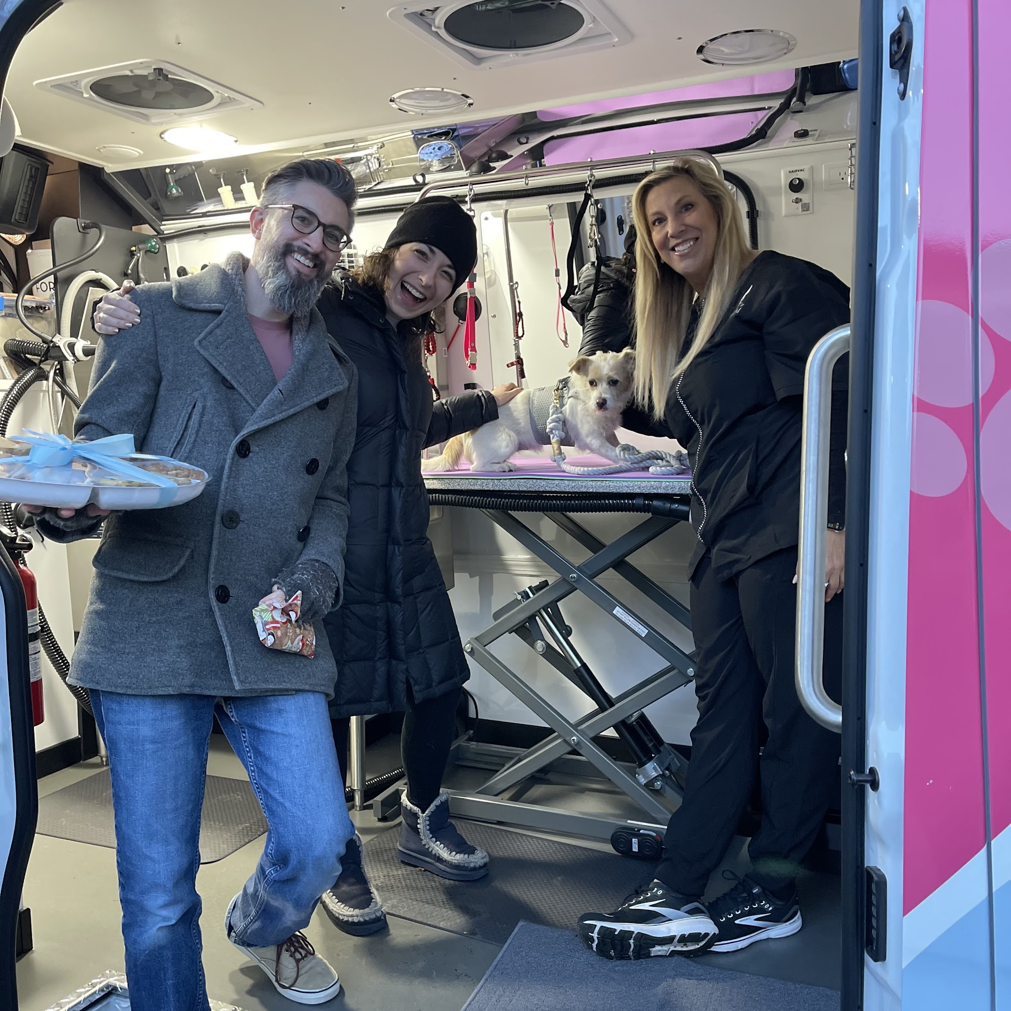 Zoom N Groom Morristown, NJ Morristown