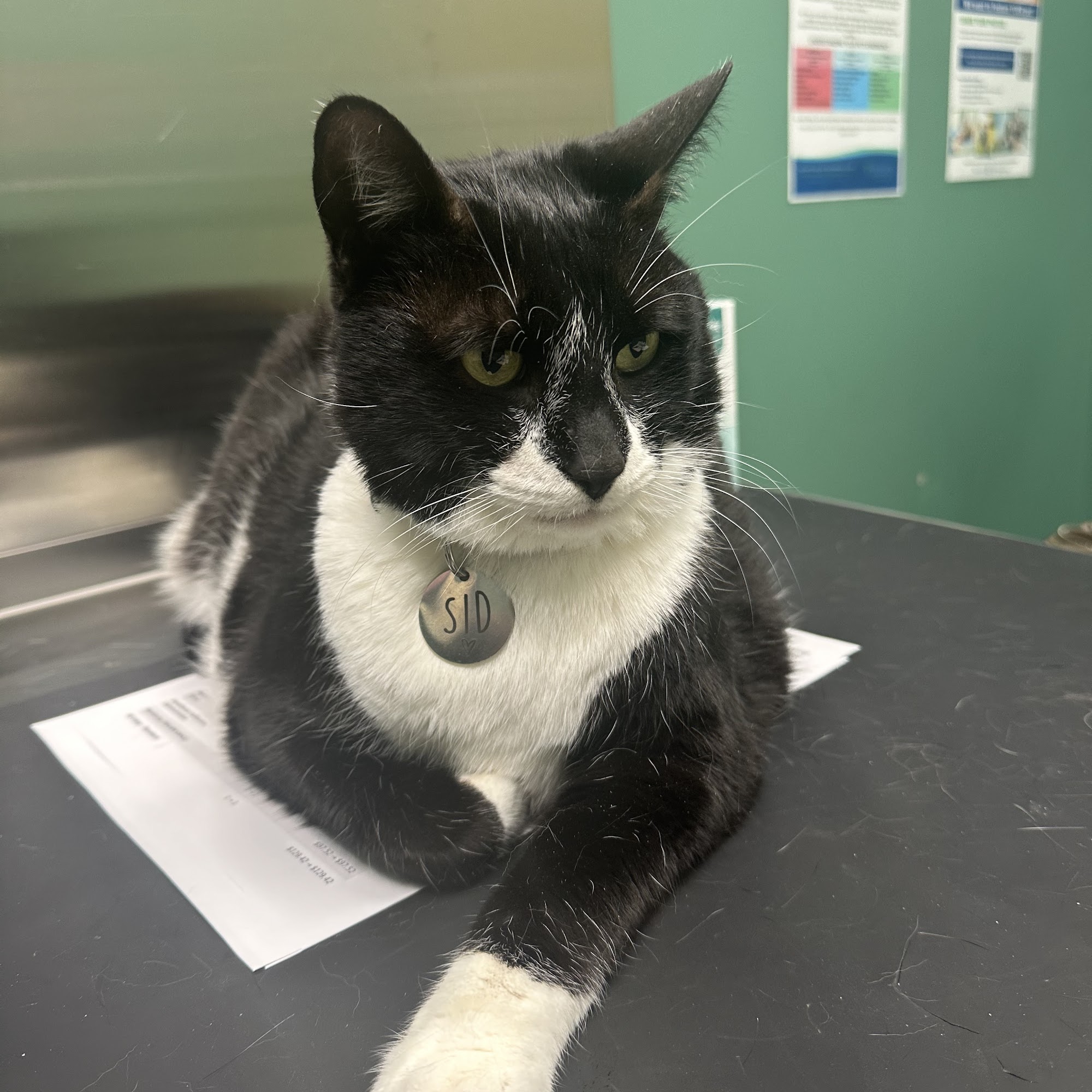 Red Bank Veterinary Hospital - Mt. Laurel Mount Laurel