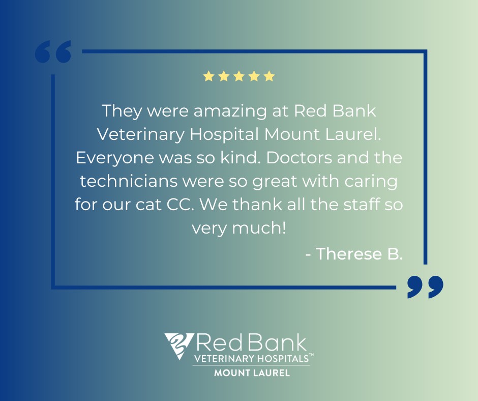 Sterling Veterinary Associates Mount Laurel