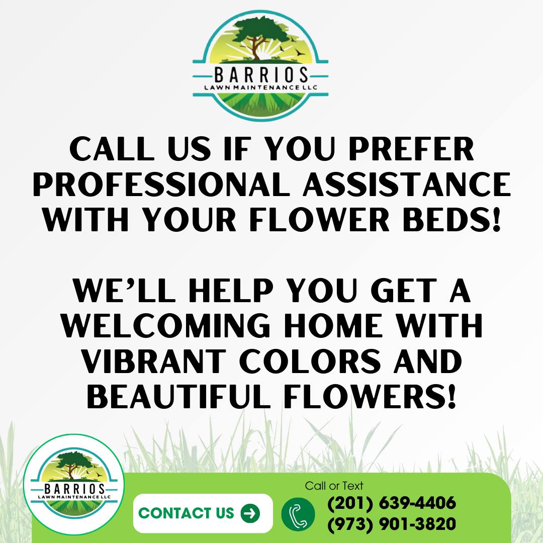 Barrios Lawn Maintenance
