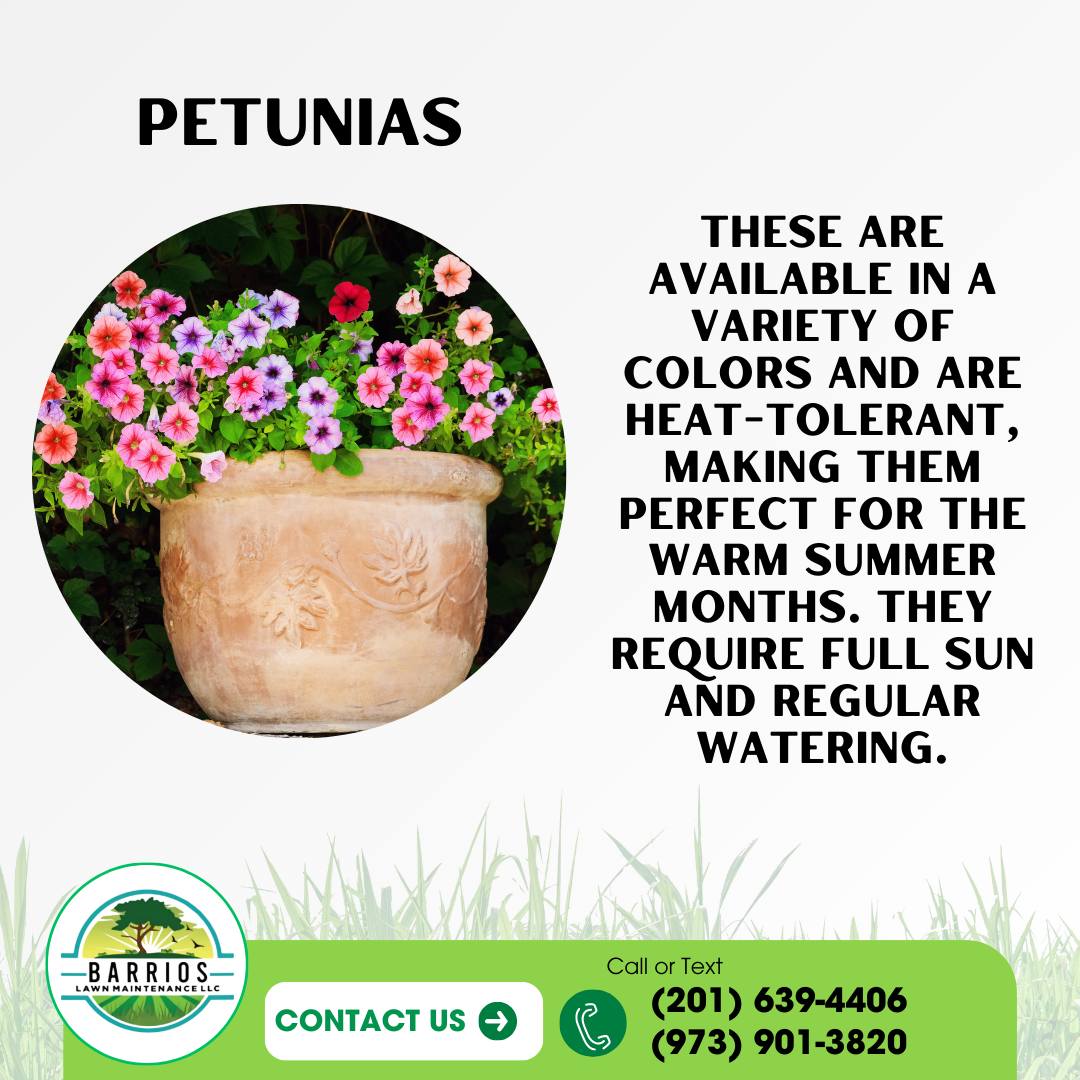 Barrios Lawn Maintenance 123 Bridgeton Pike #1104, Mullica Hill New Jersey 08062