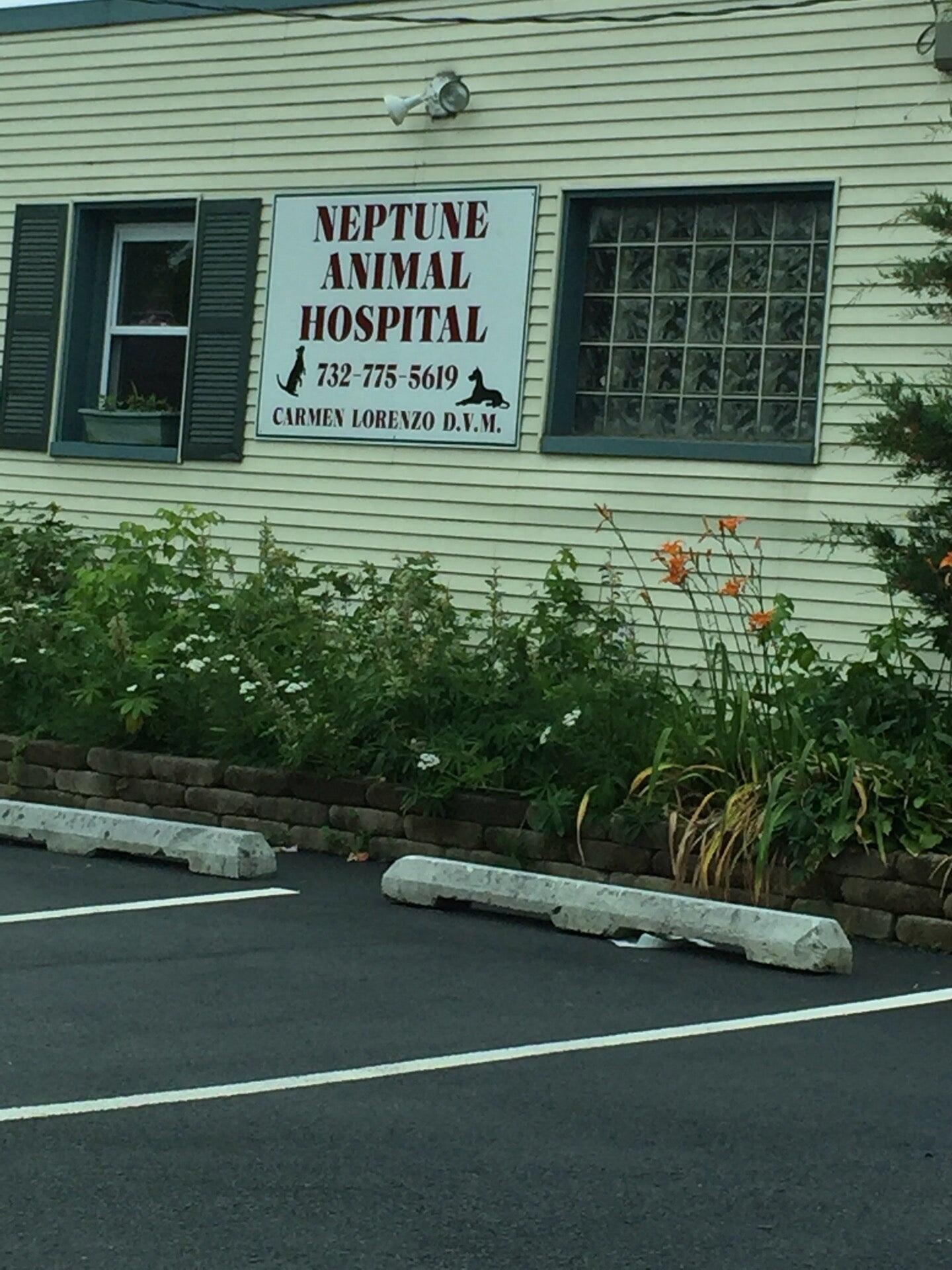 Neptune Animal Hospital Neptune City