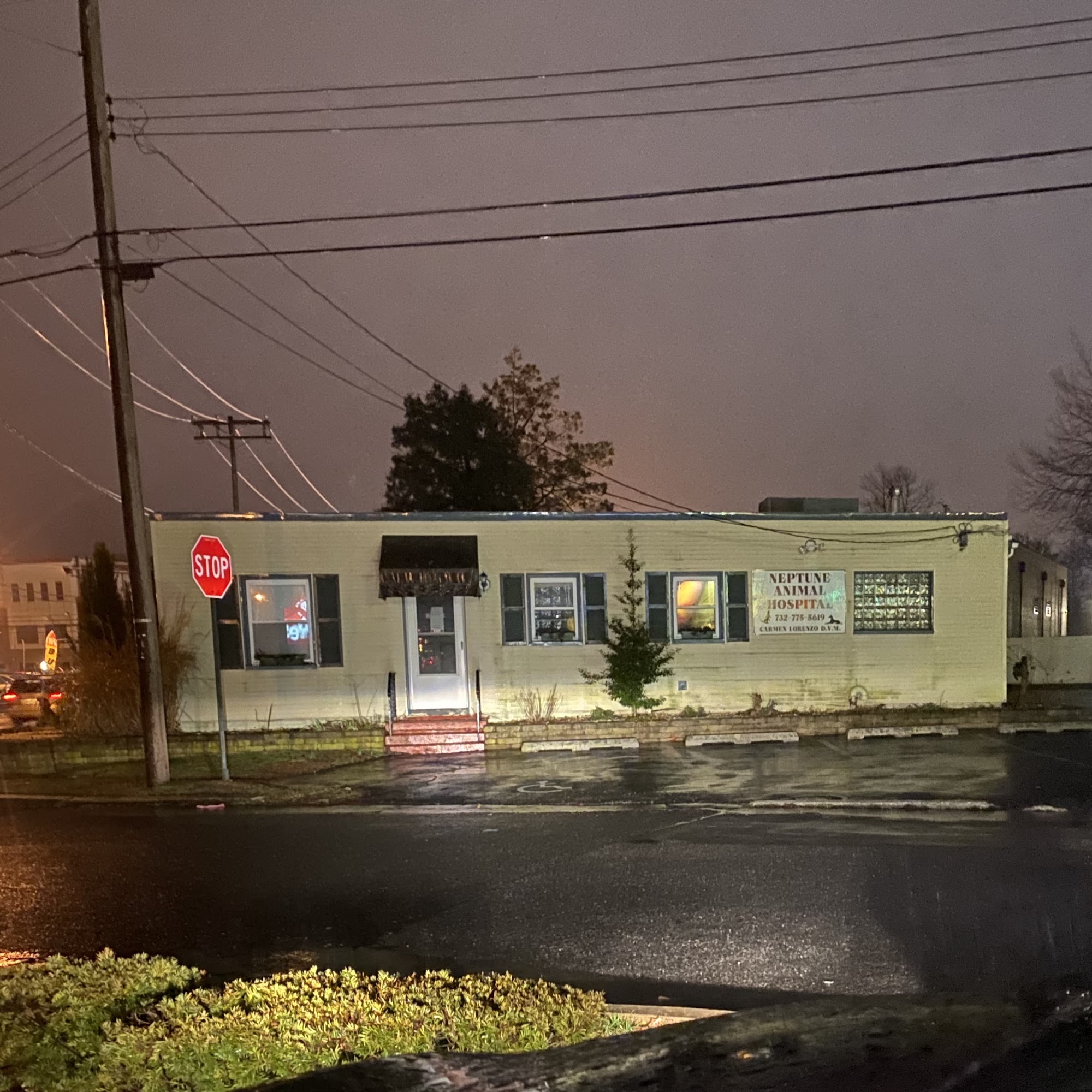 Neptune Animal Hospital Neptune City