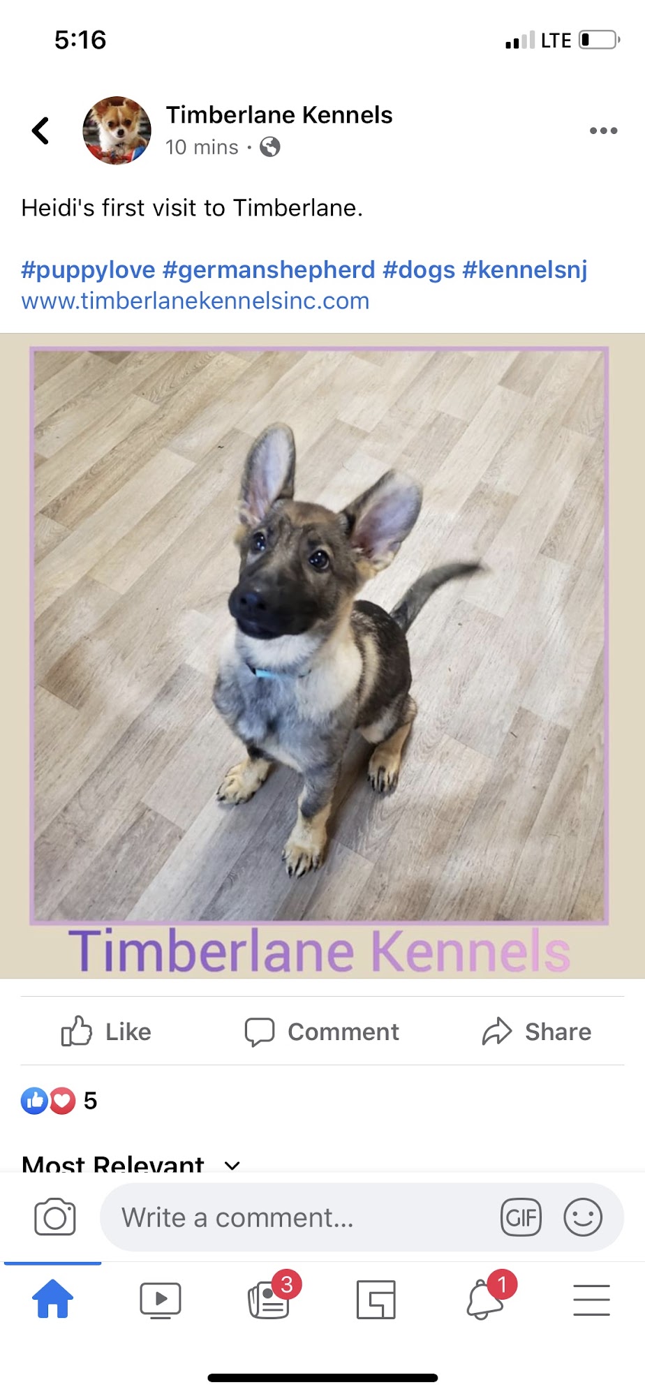 Timberlane Kennels New Egypt