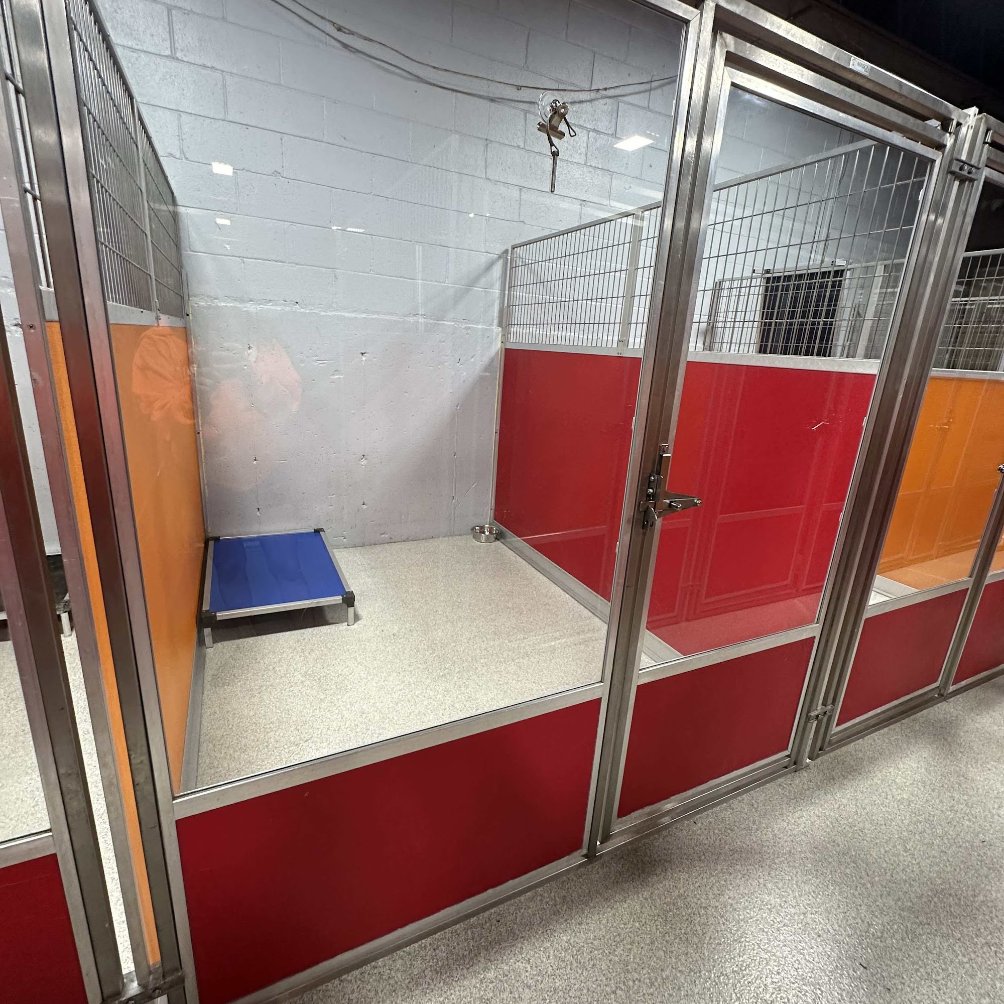 K9 Nanni North Arlington