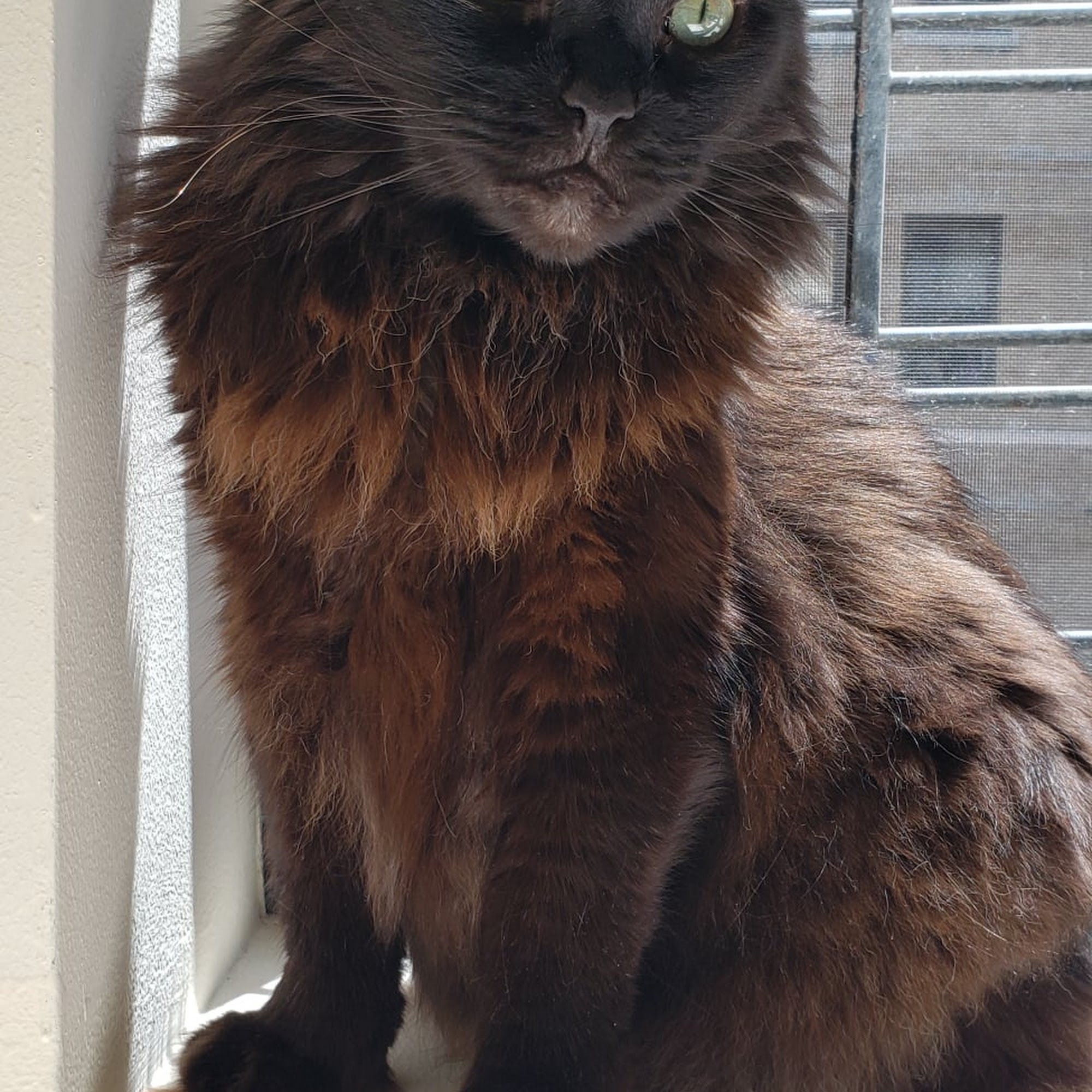 HomeHeart Vets North Bergen