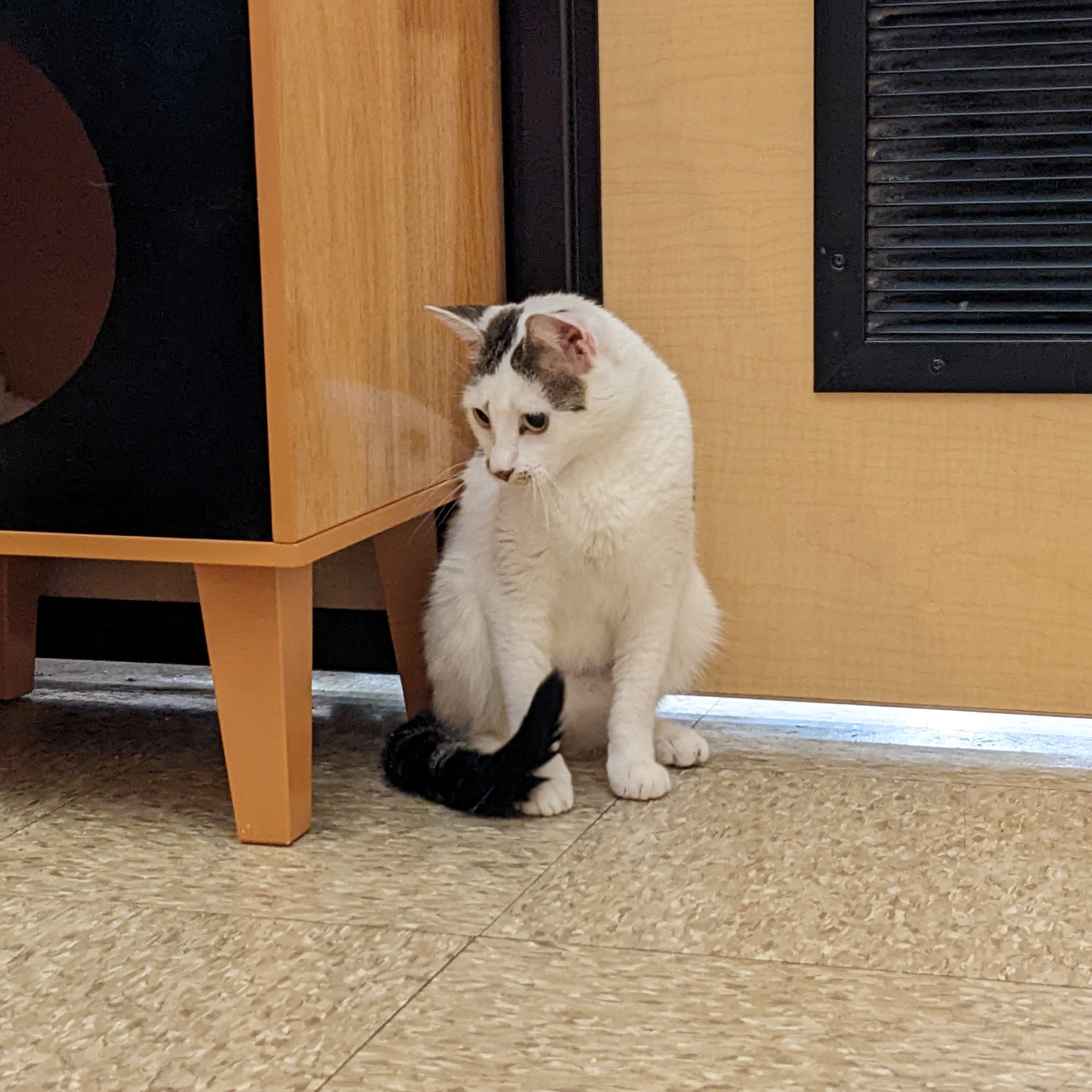 PetSmart North Brunswick