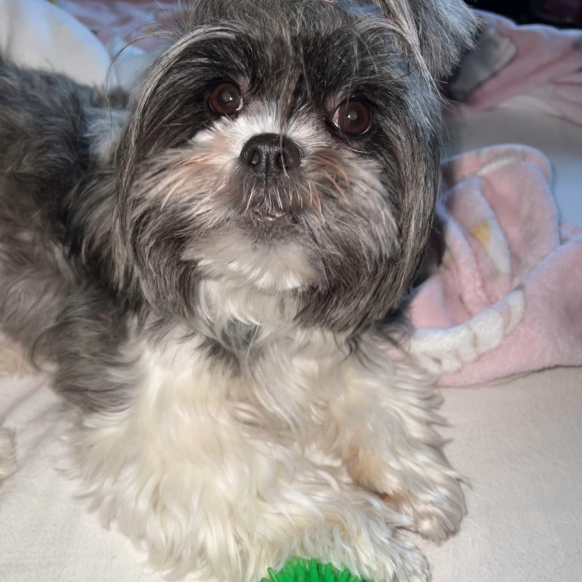 Faith Veterinary Clinic North Brunswick