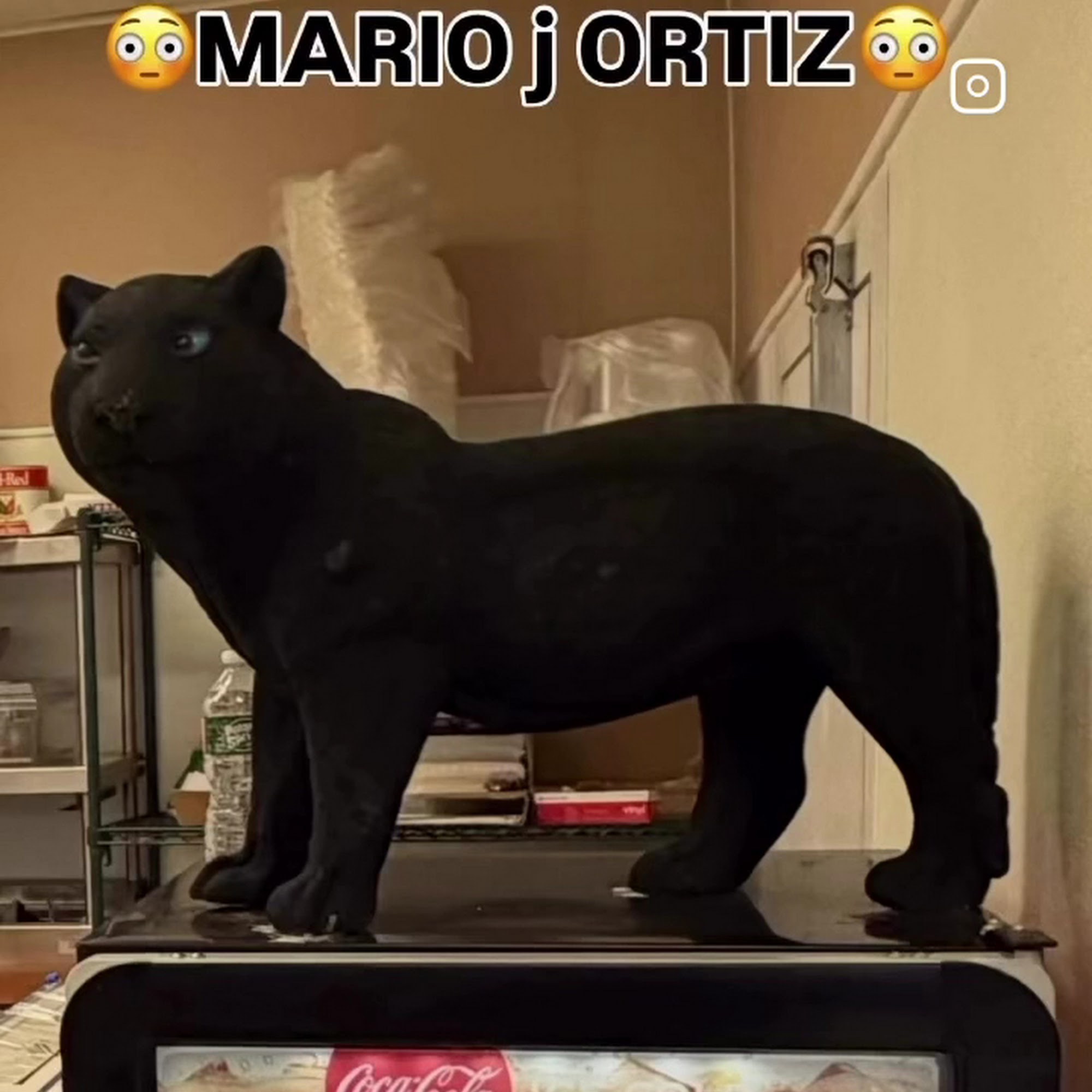 Citgo North Brunswick