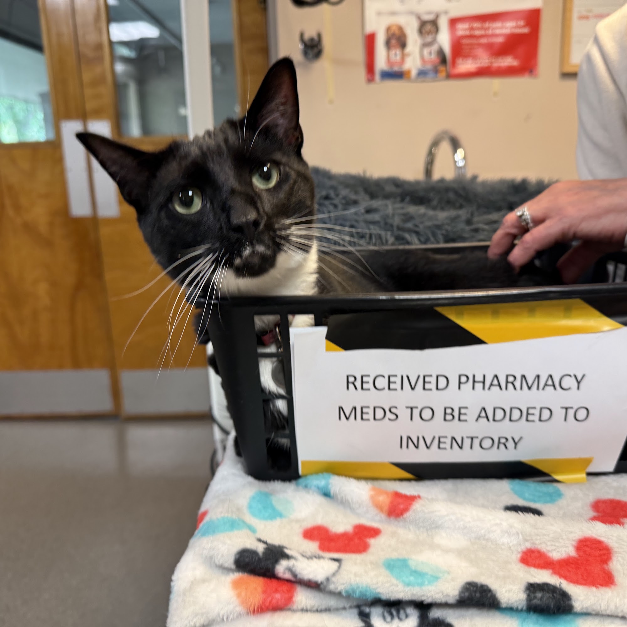 Nutley Animal Hospital Nutley