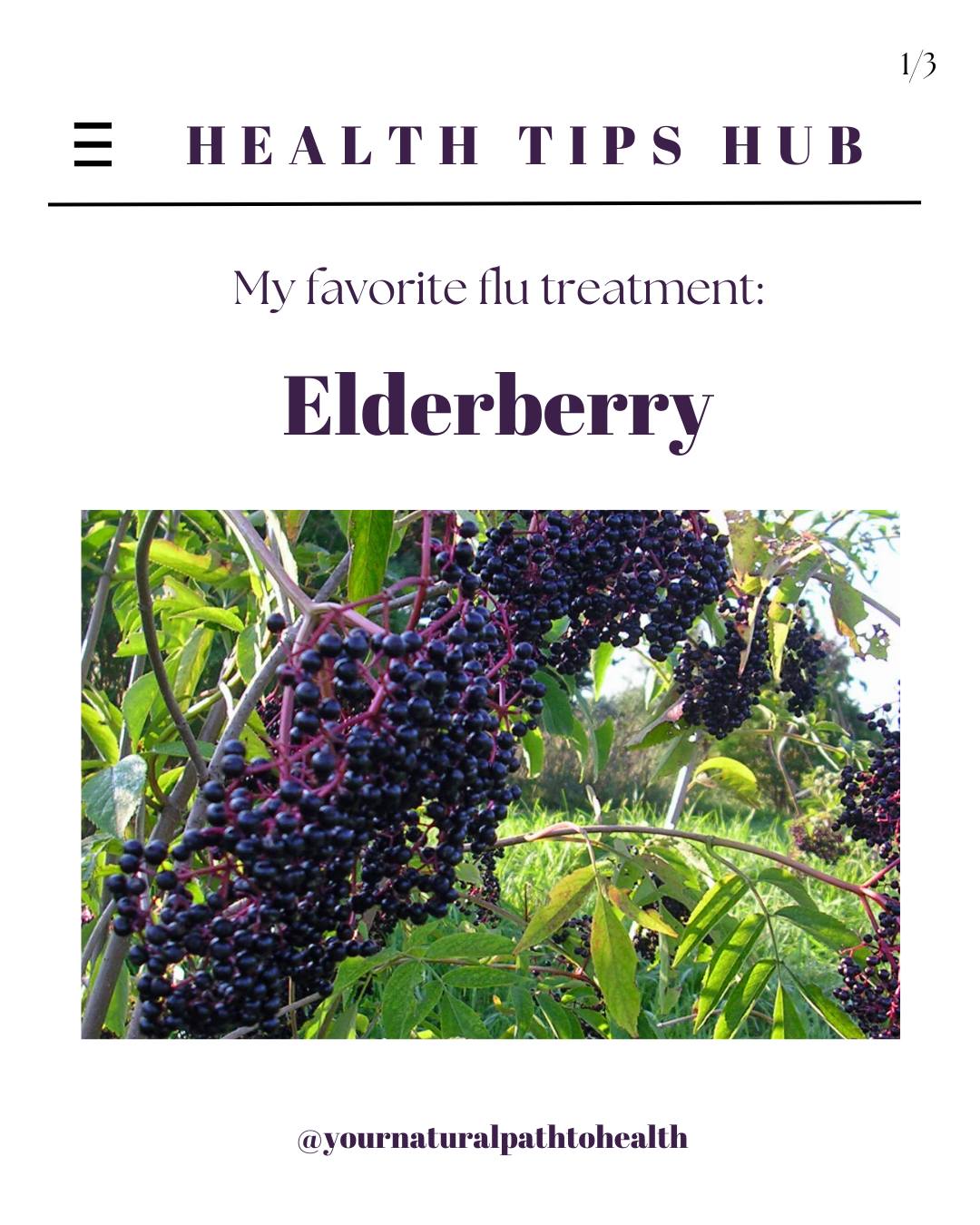 New Jersey Natural Family Health