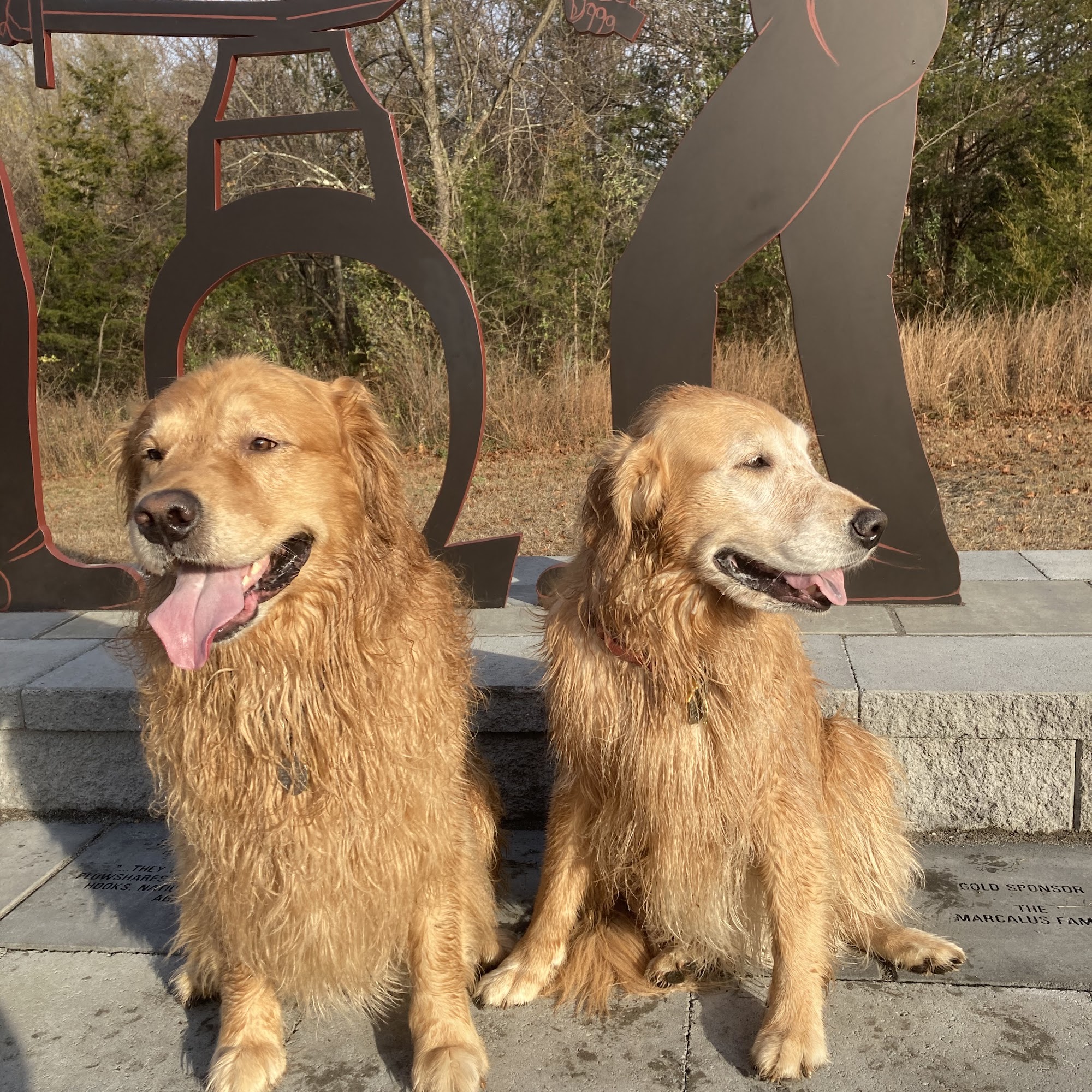 Ramapo Valley Animal Hospital Oakland