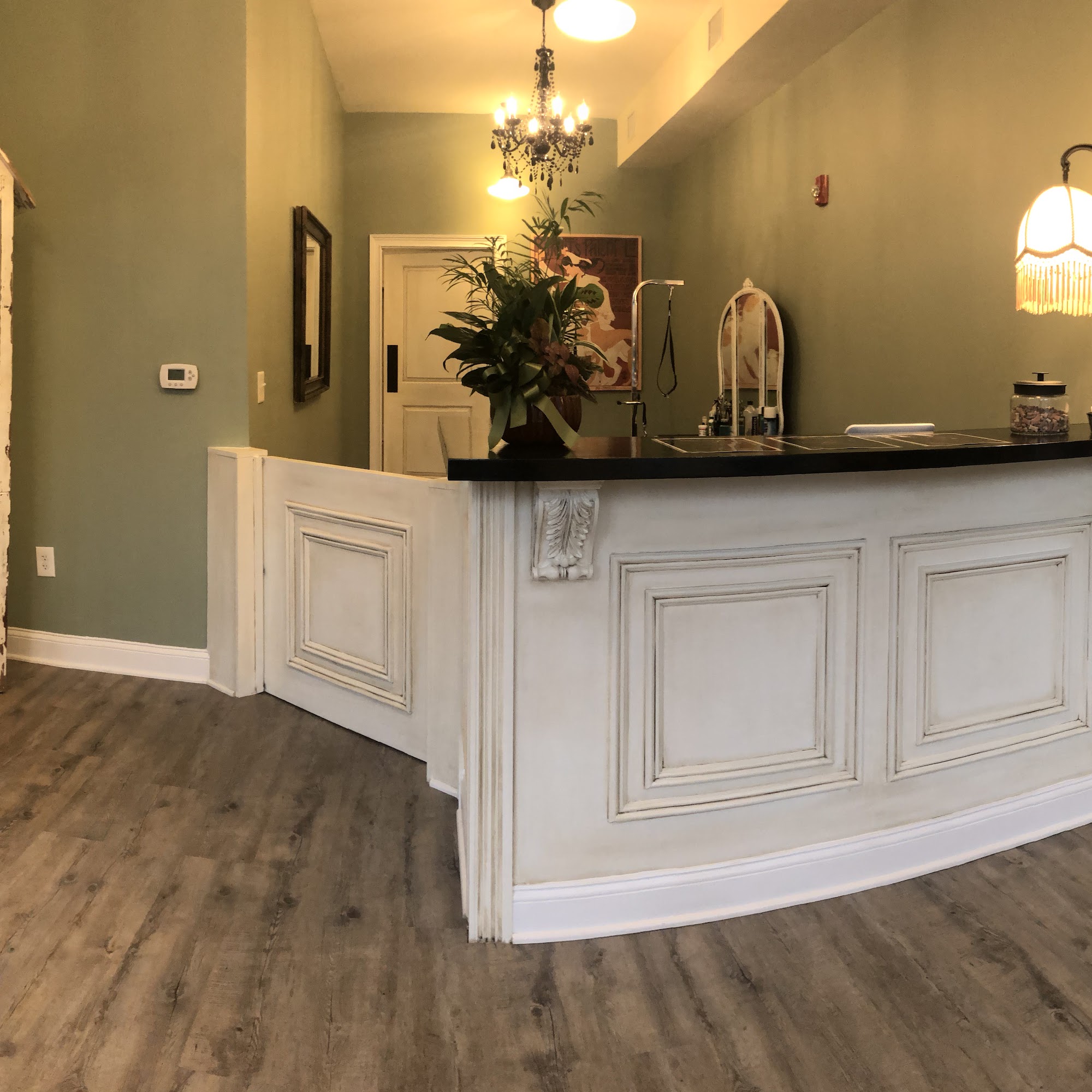 Dapper Dog Spa Ocean Grove