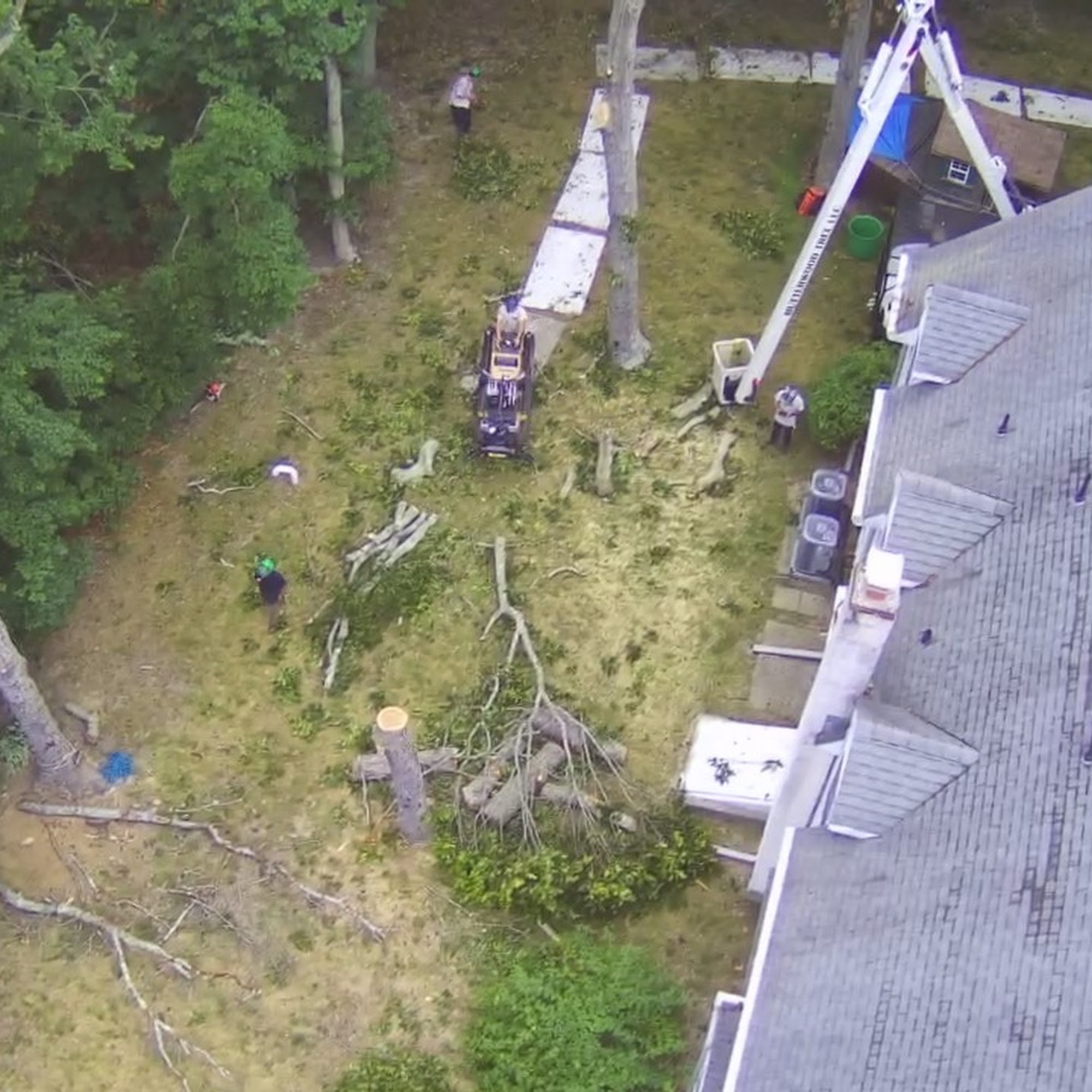 Butterwood Tree Service, LLC 501 Butter Rd, Ocean View, NJ 08230